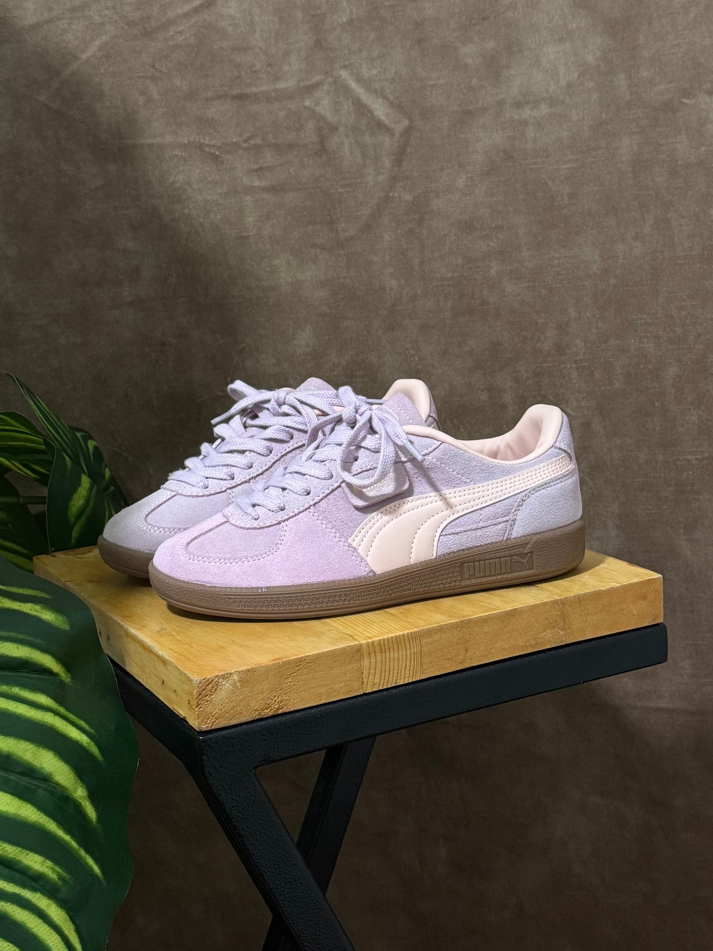 Puma Palermo “Rosa”