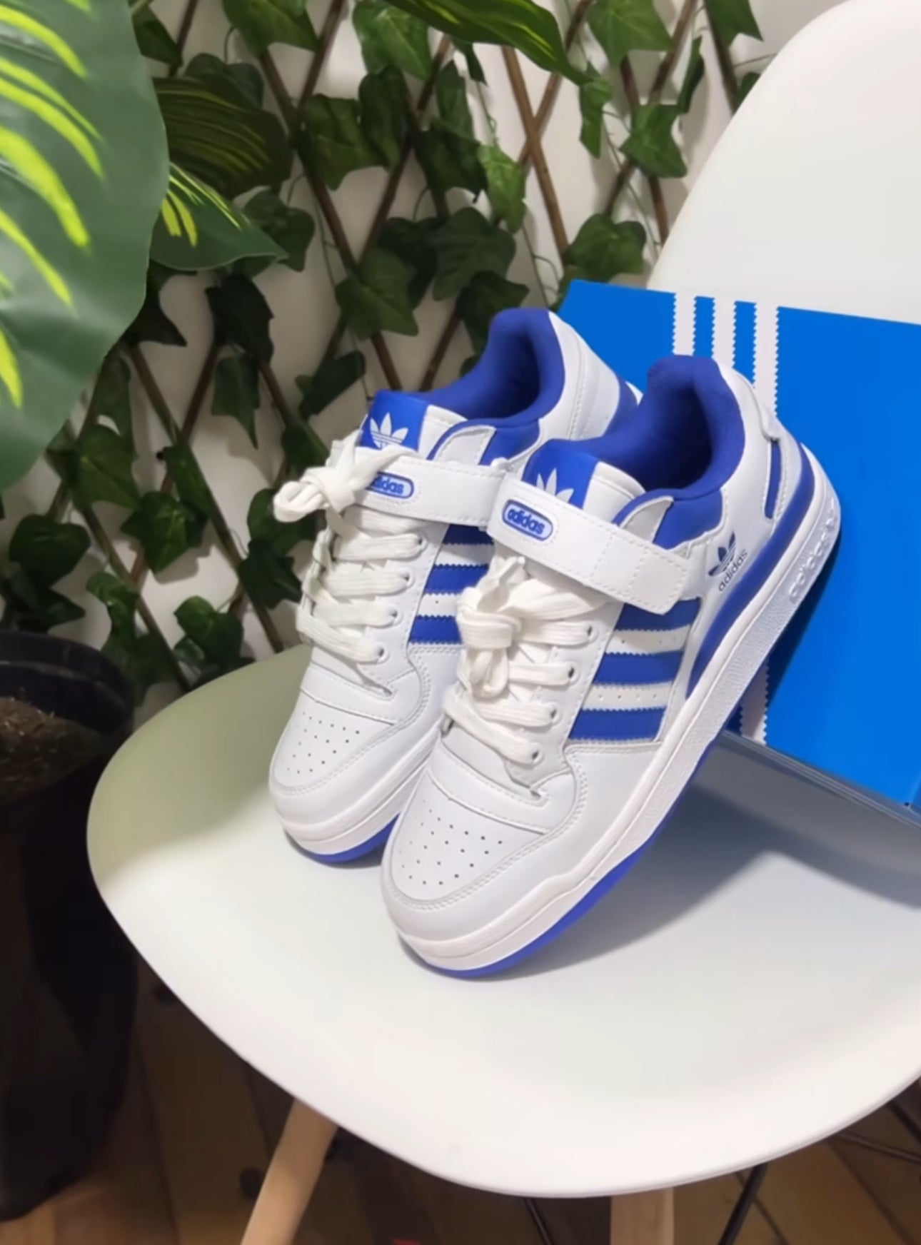 Adidas Forum Low “White/Blue”