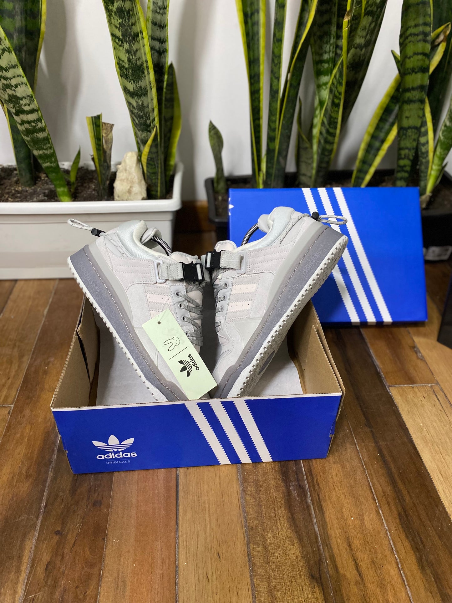 Adidas Forum x Bad Bunny Gris