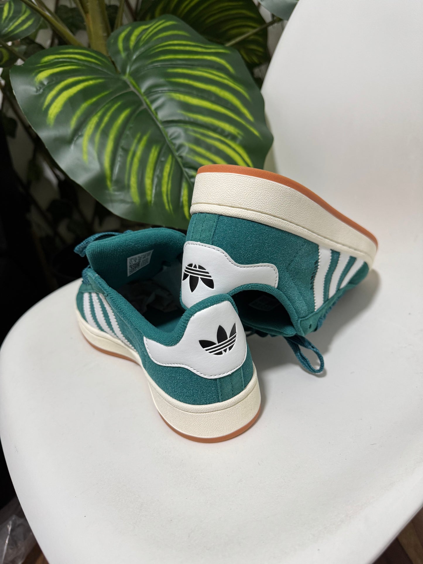 Adidas campus verde