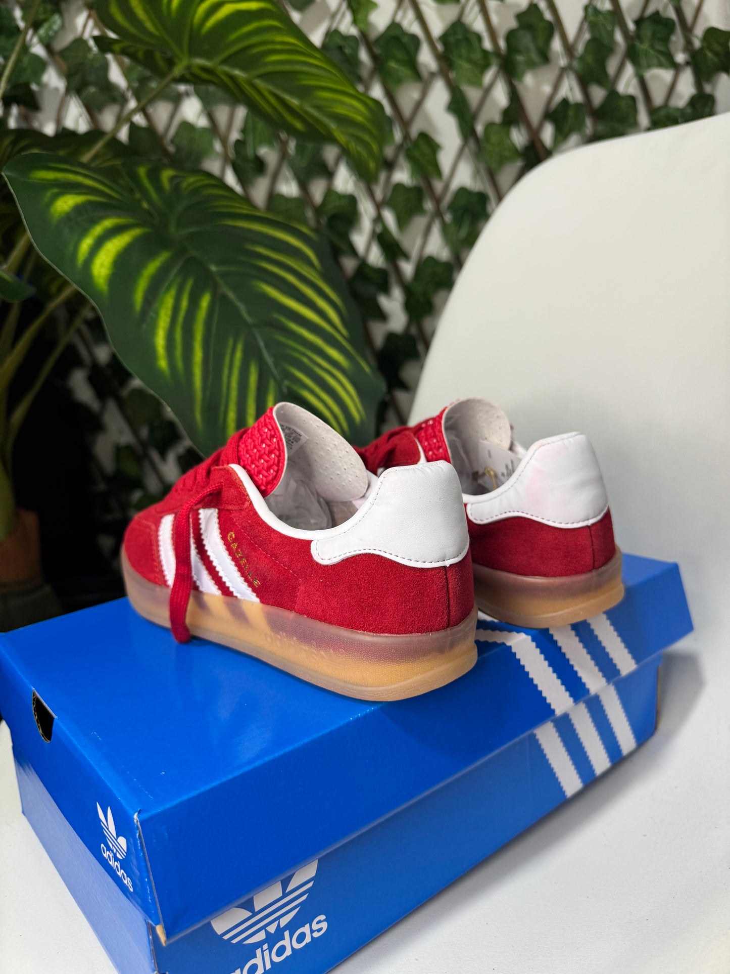 Adidas Gazelle Indoor “ Red”