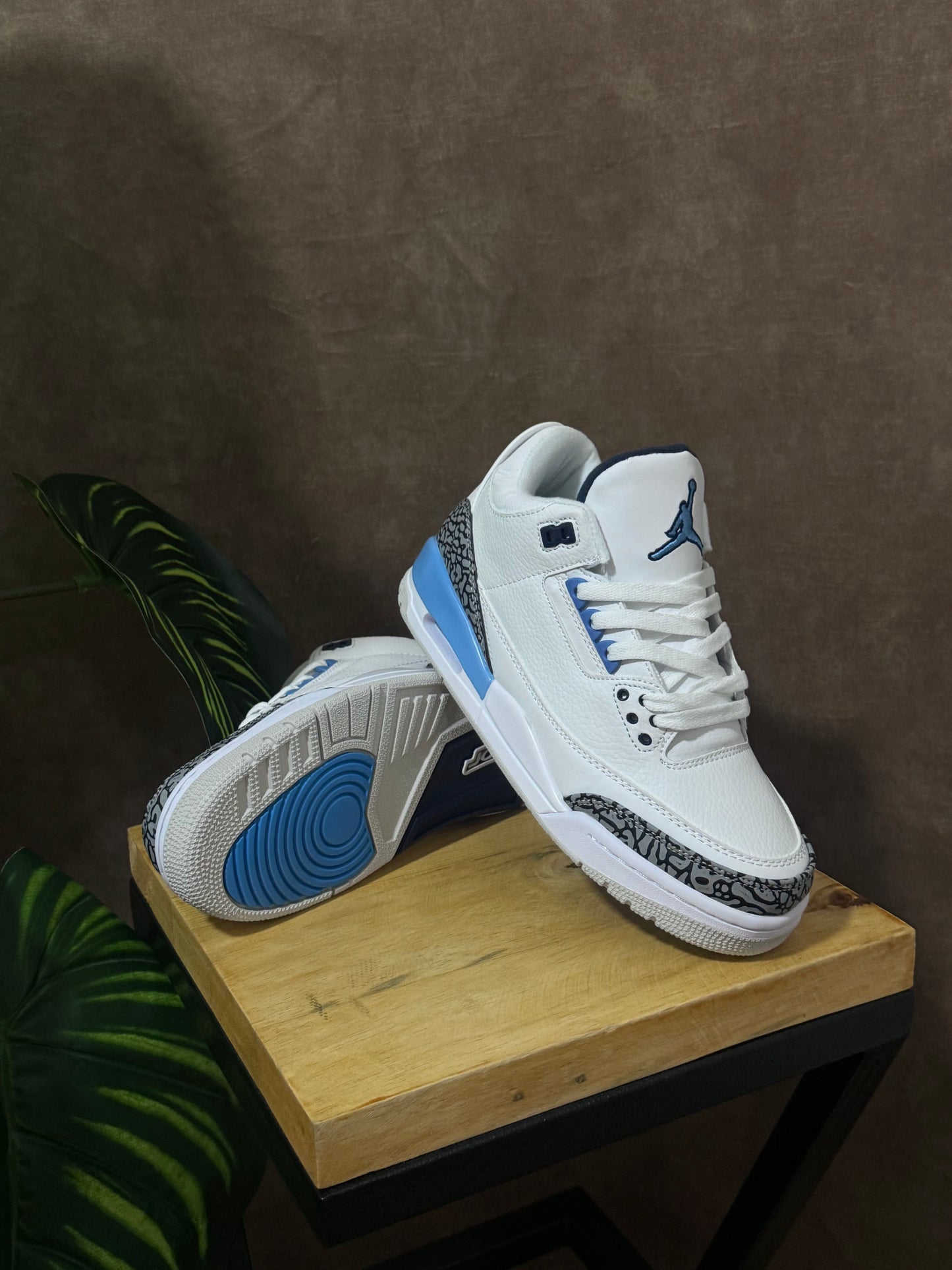 Air Jordan Retro 3 UNC