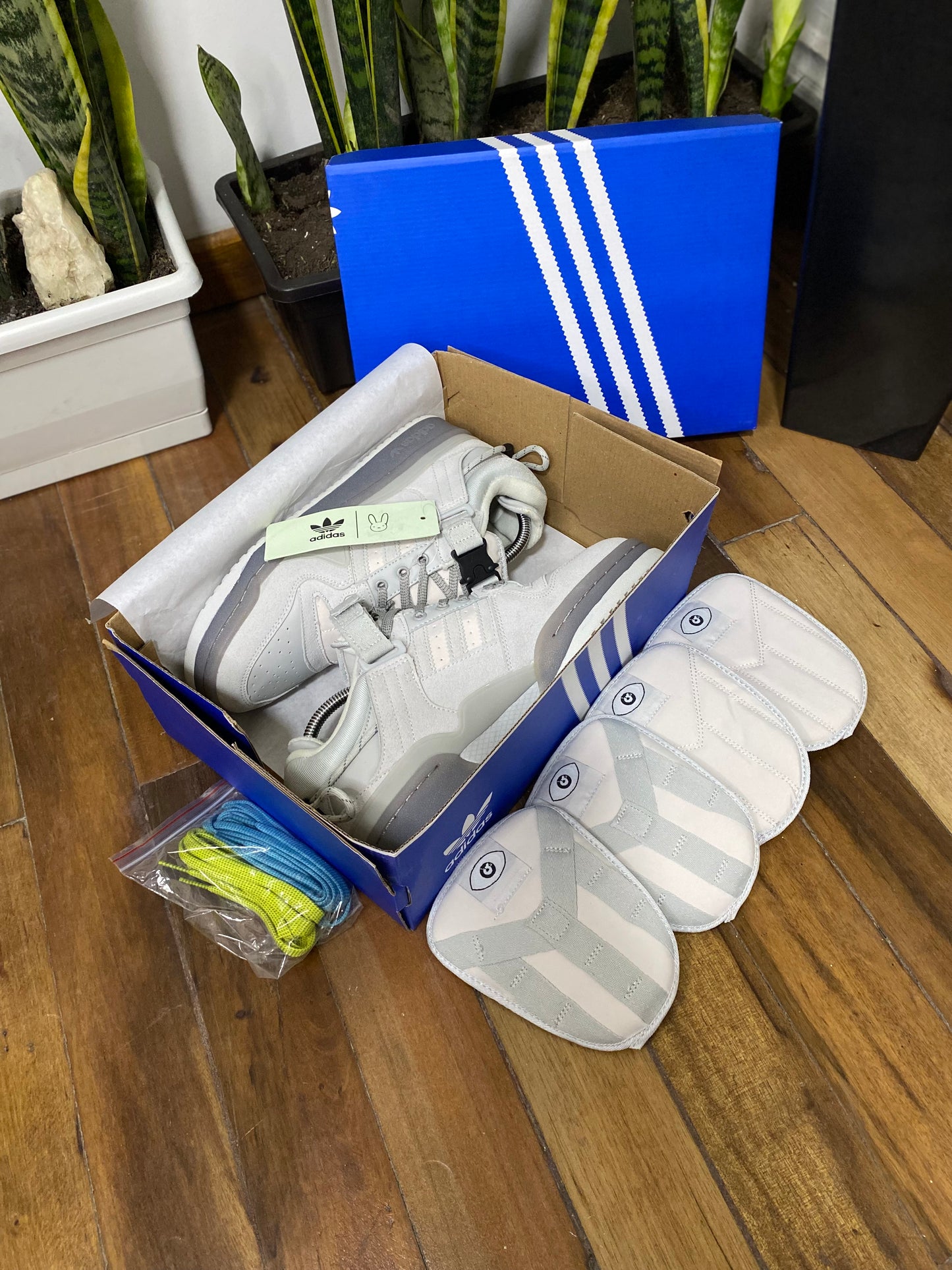 Adidas Forum x Bad Bunny Gris