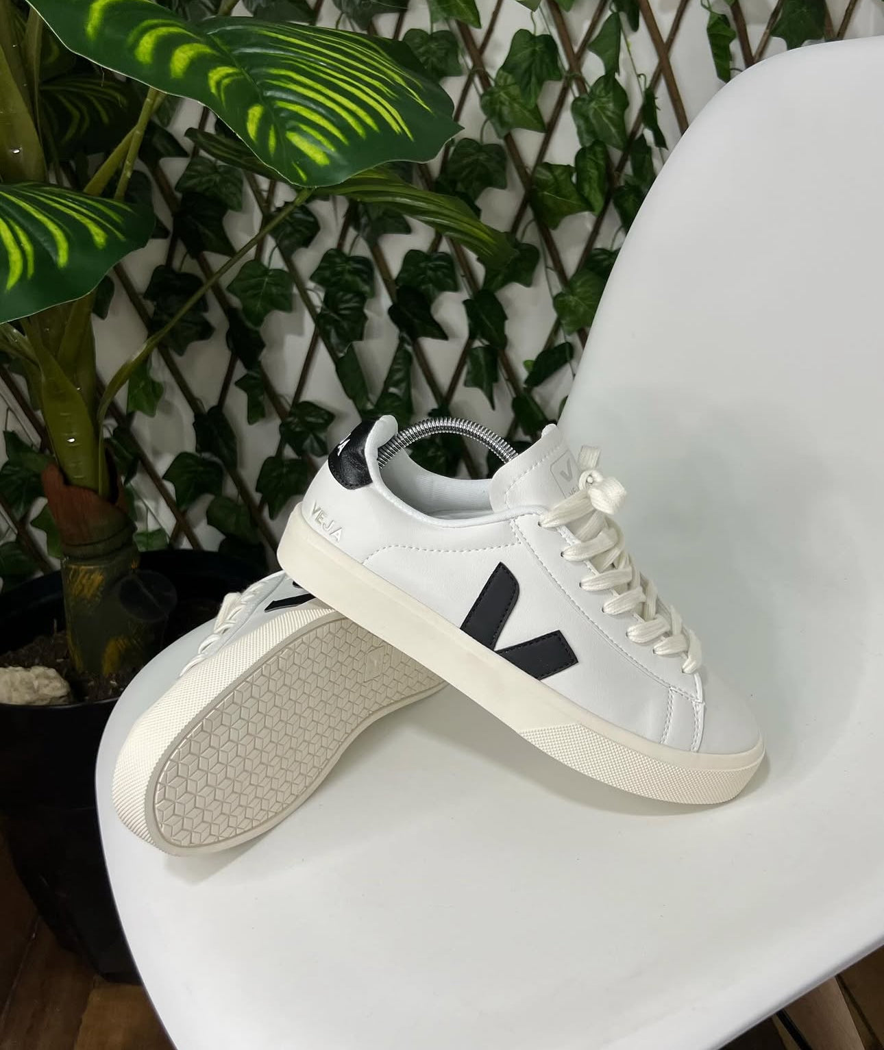 Veja
