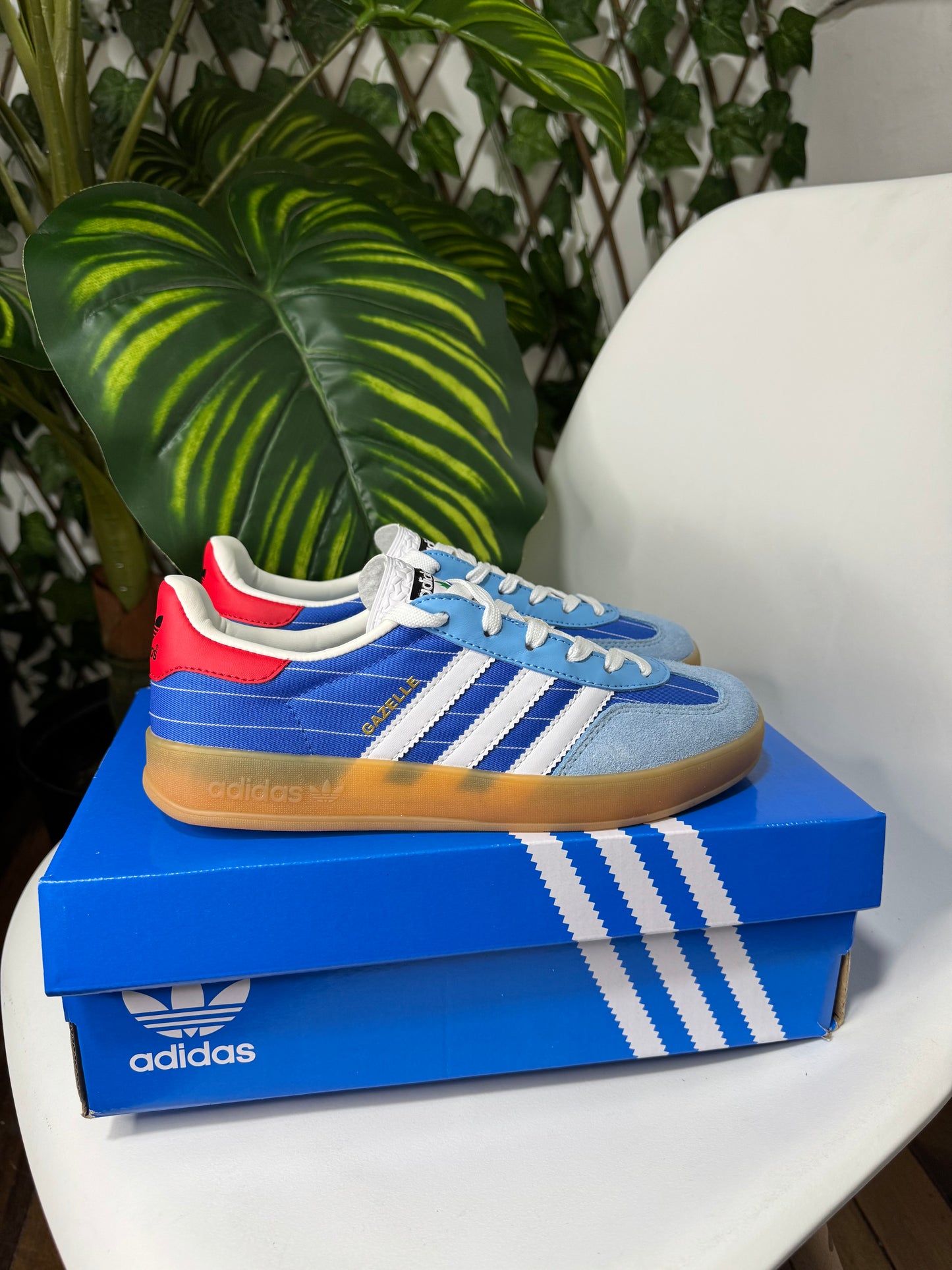 Adidas Gazelle Indoor “Olympic Blue”