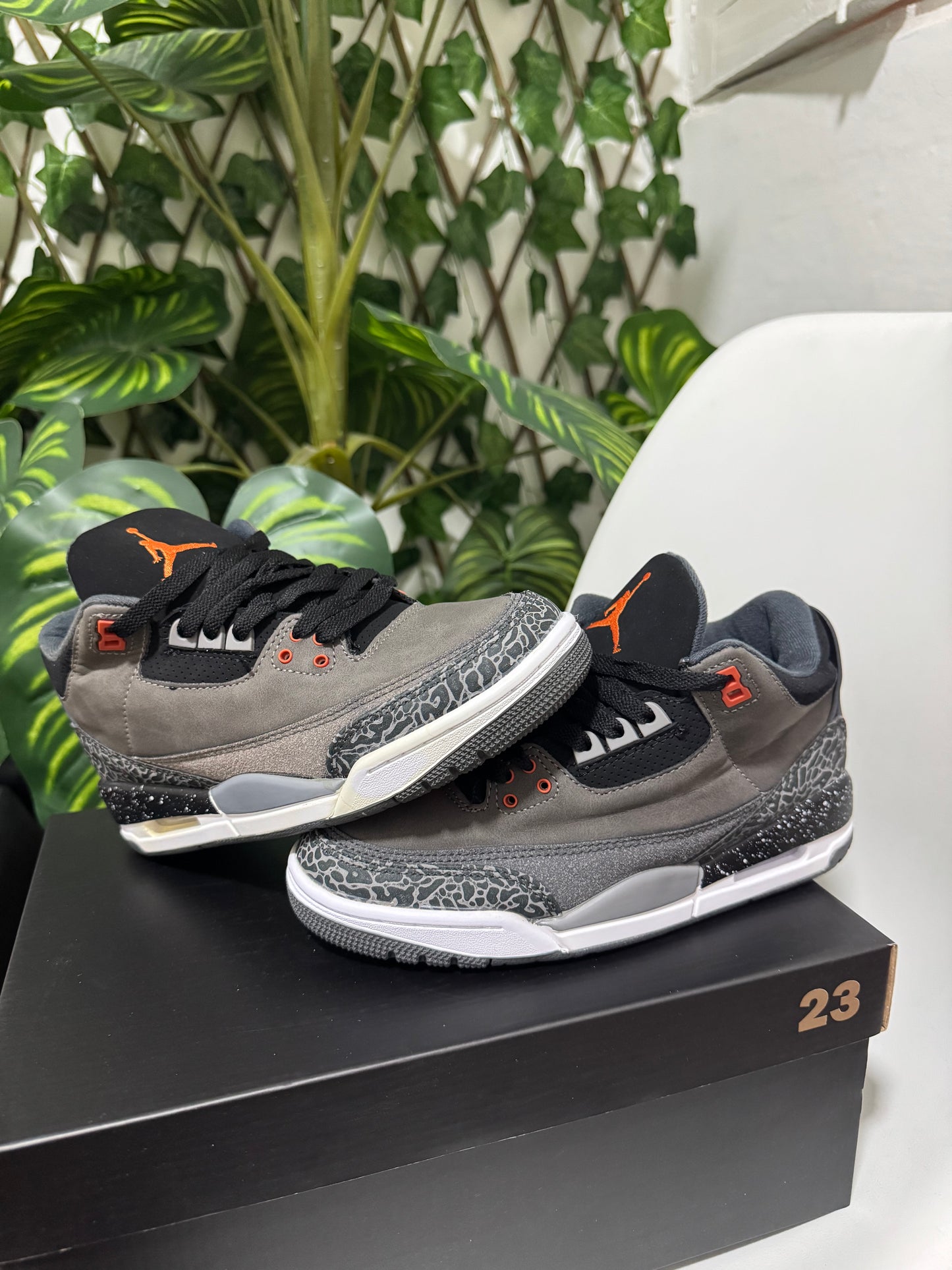 Air Jordan 3 Fear