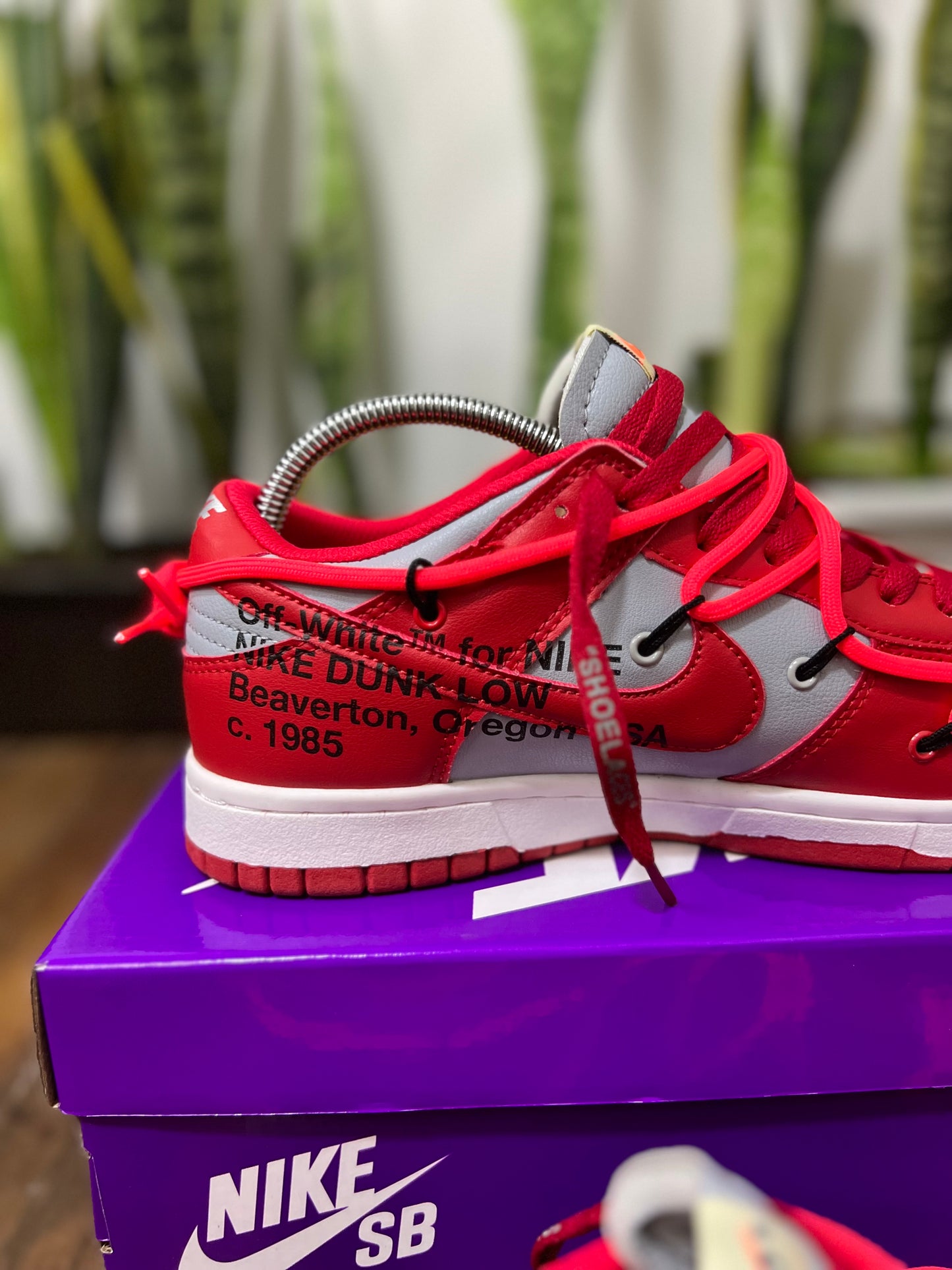 Nike SB Dunk Low x Off White