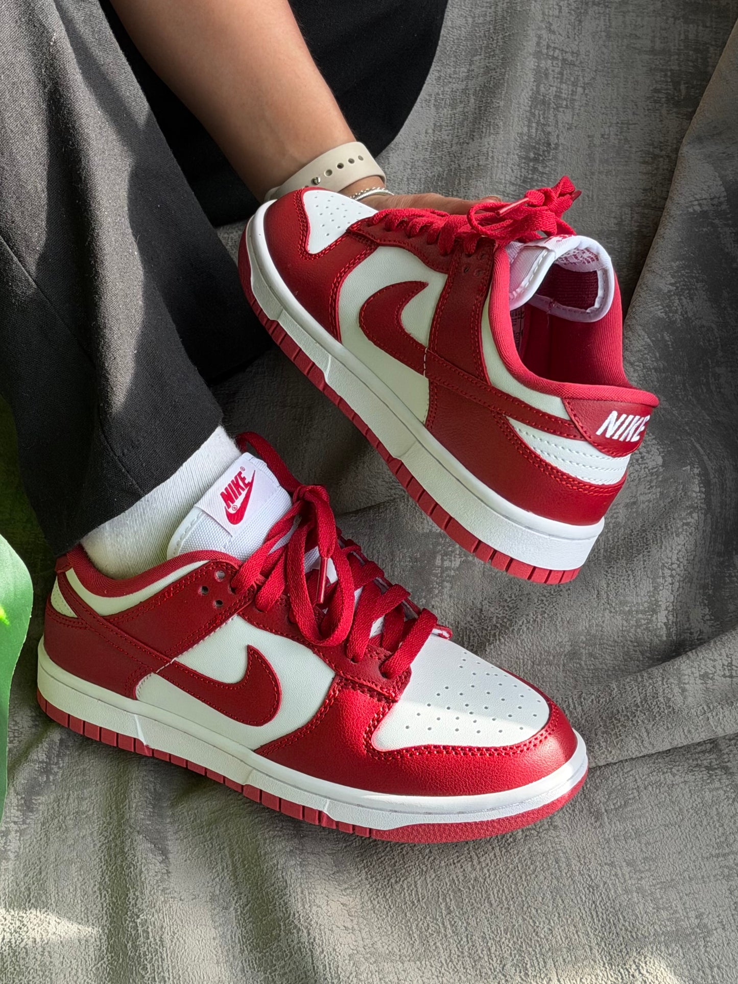 Nike SB Dunk Low “Red”