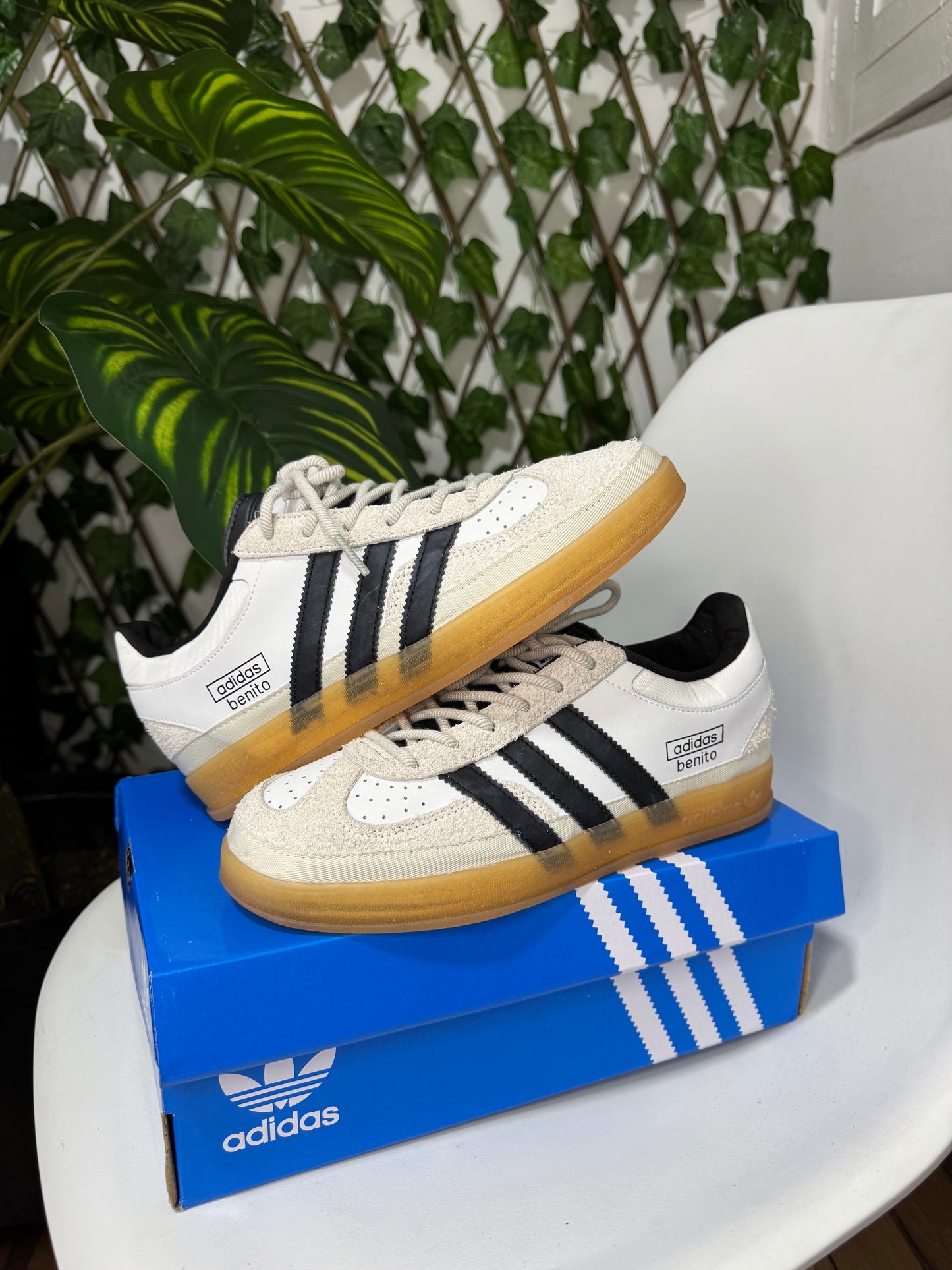 Adidas Gazelle Indoor Benito x Bad Bunny