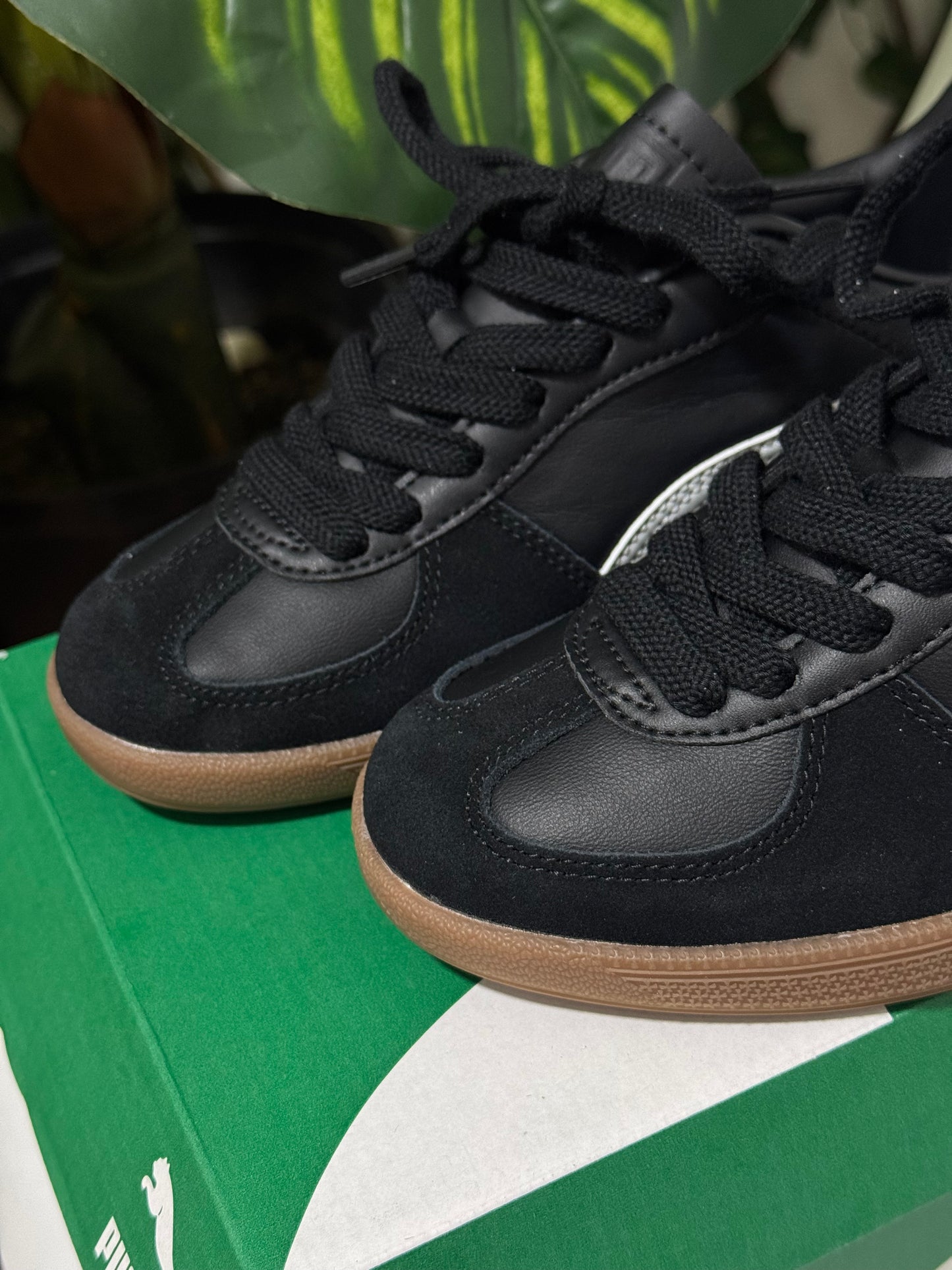 Puma Palermo Negra
