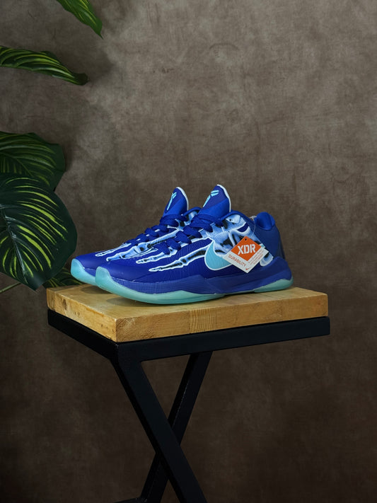 Nike Kobe 5 Protro x Ray