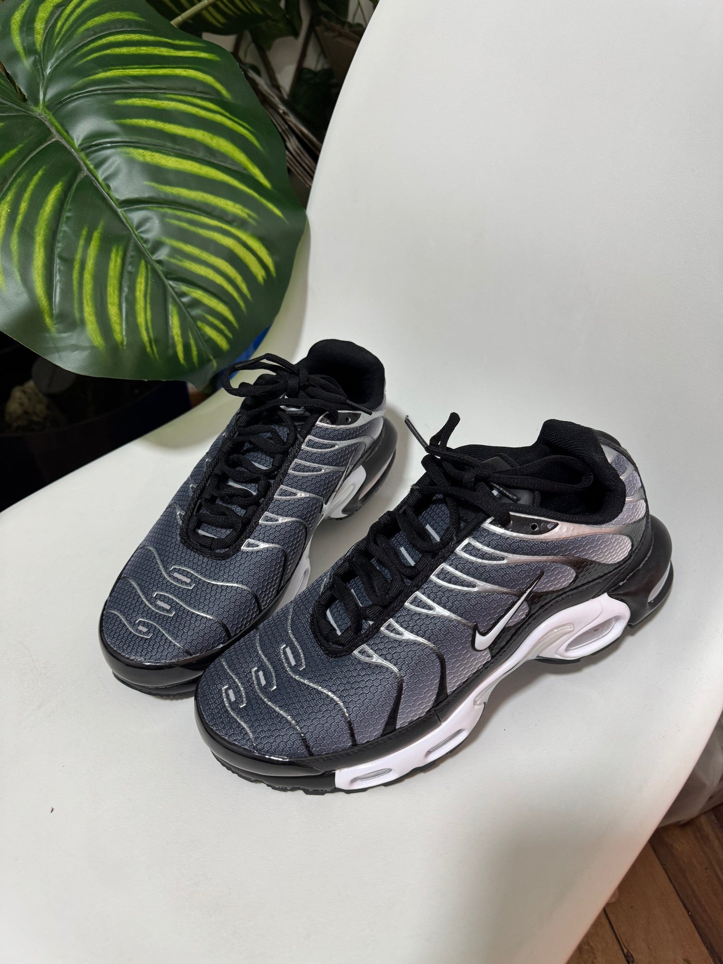 Nike Air Max TN Plus Grey