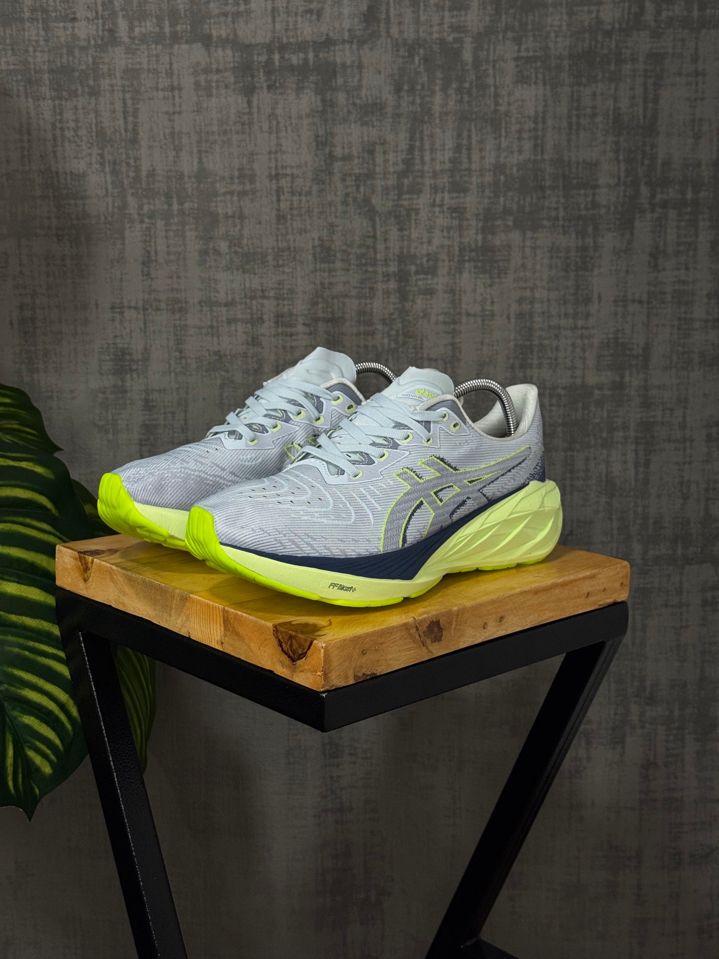 Asics Novablast 4 Gris