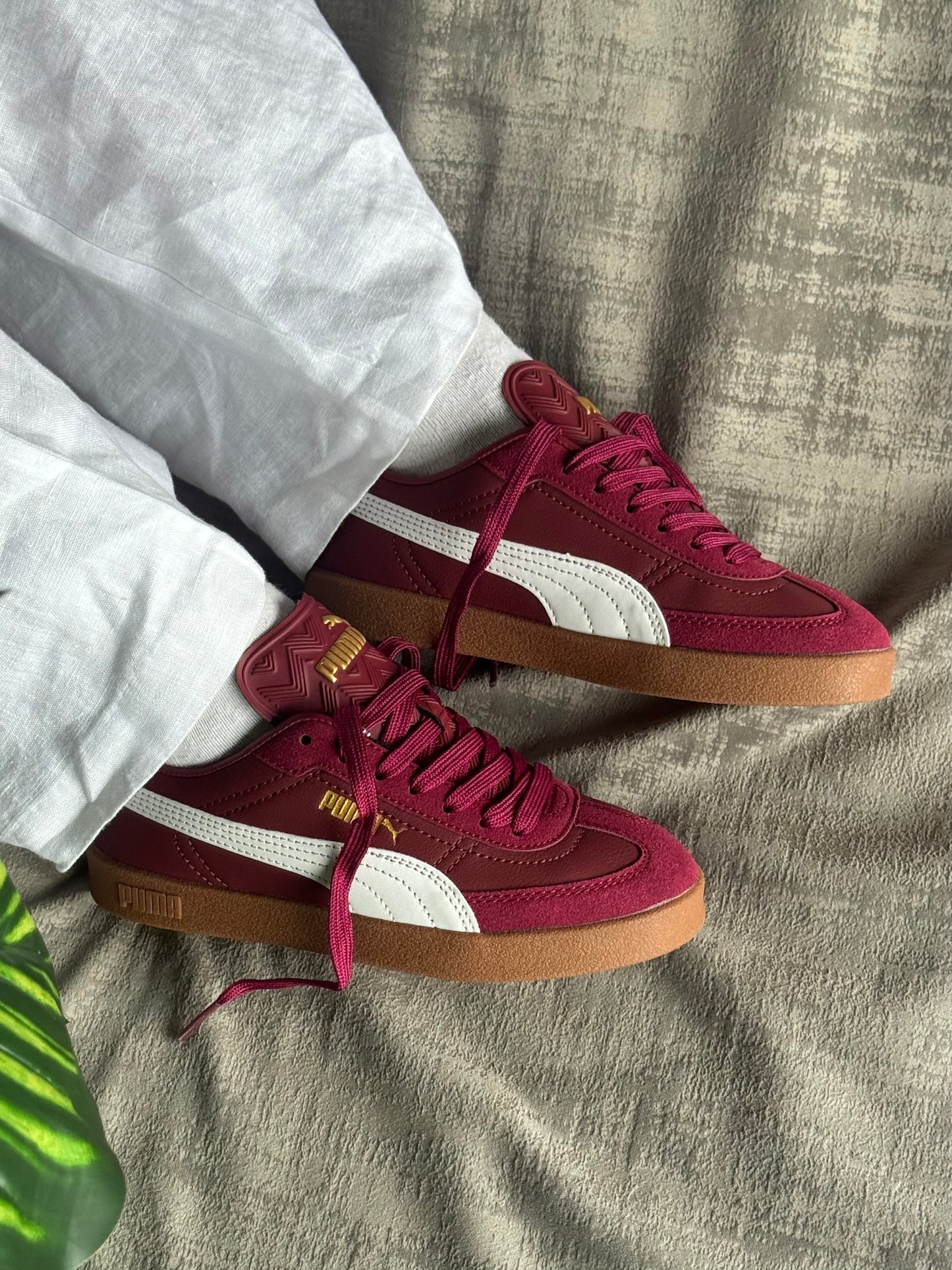 Puma Club “Vinotinto”