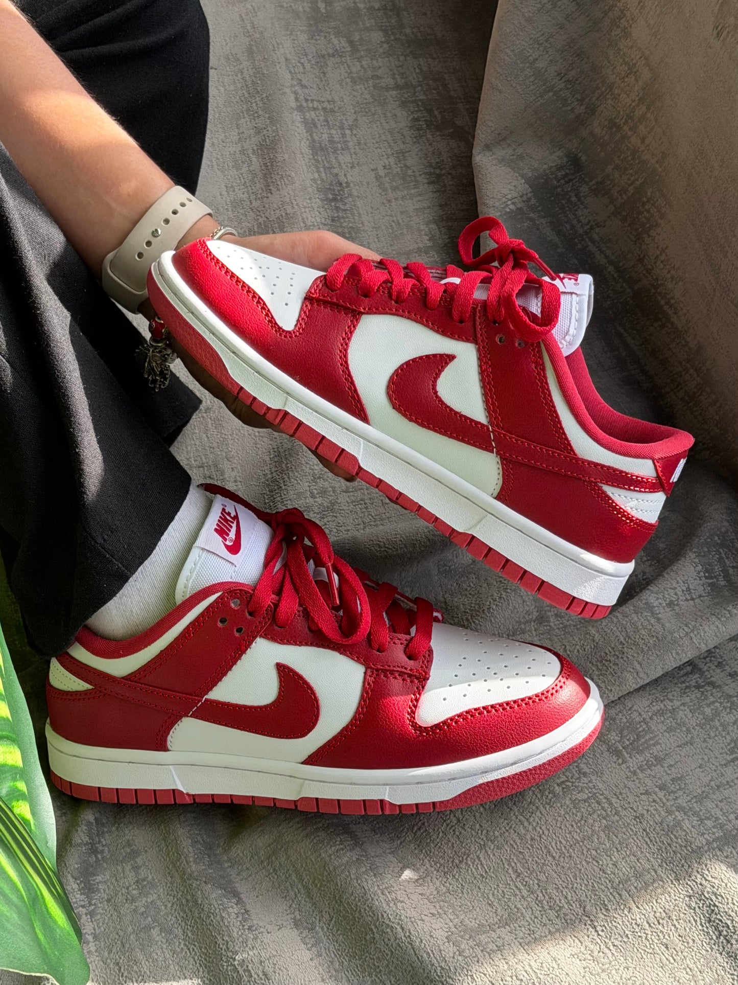 Nike SB Dunk Low “Red”