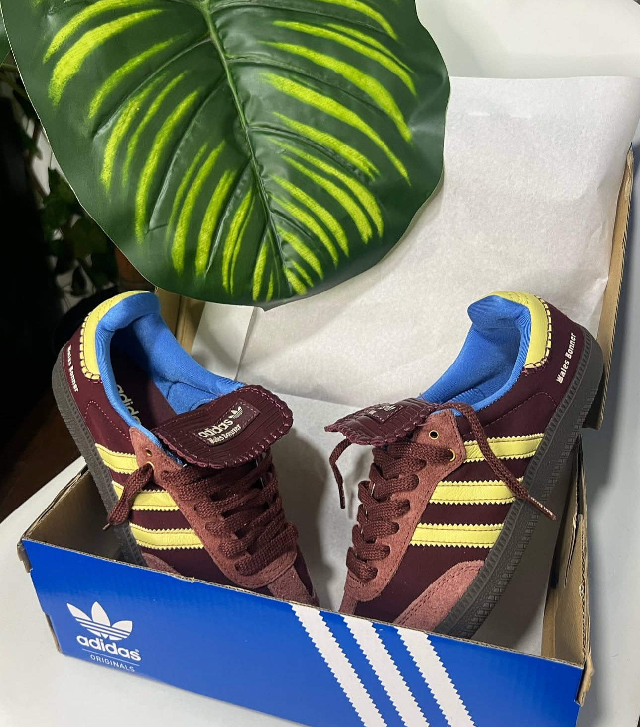 Adidas Samba x Wales Bonner