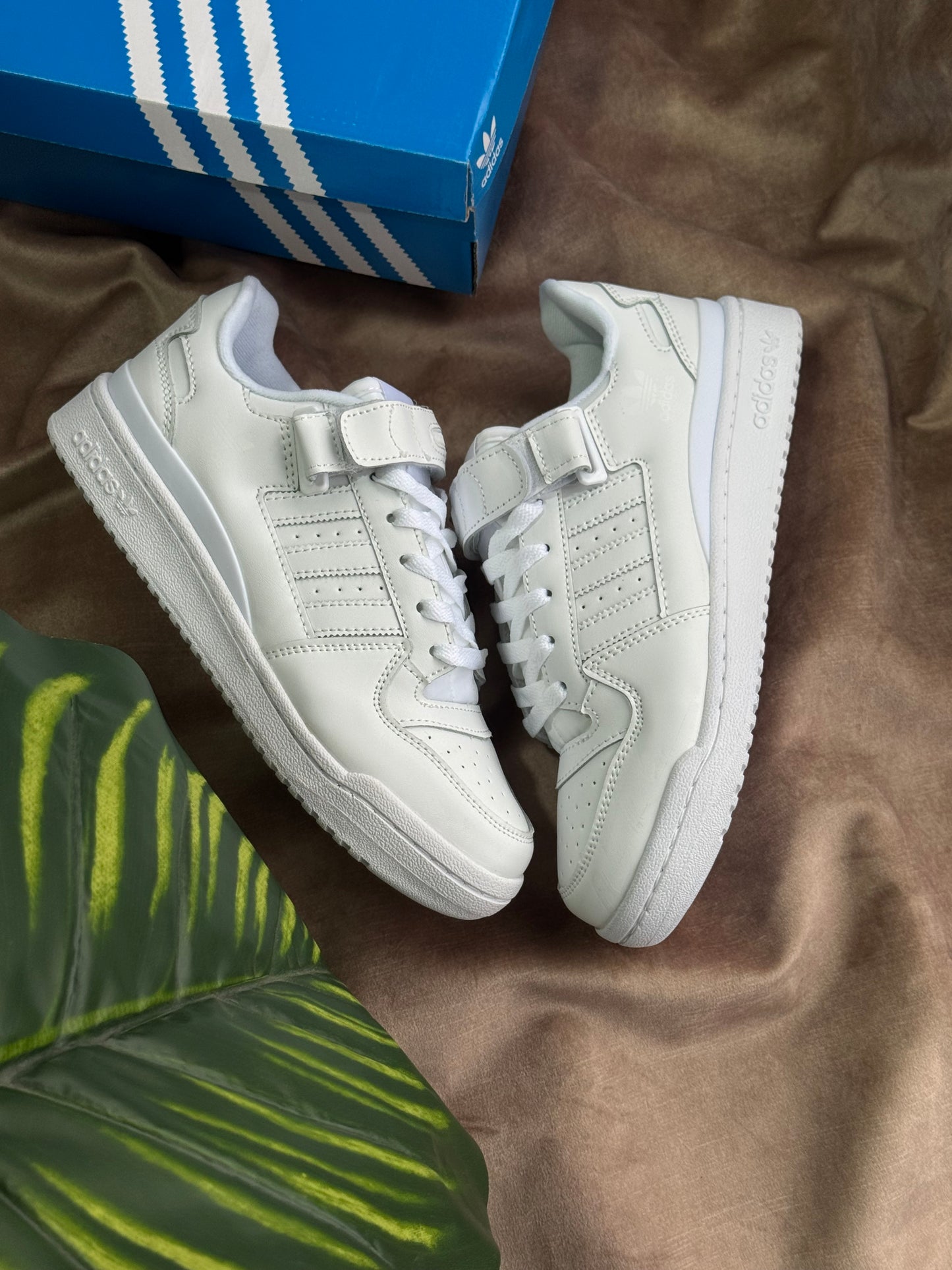 Adidas Forum Low “Triple White”