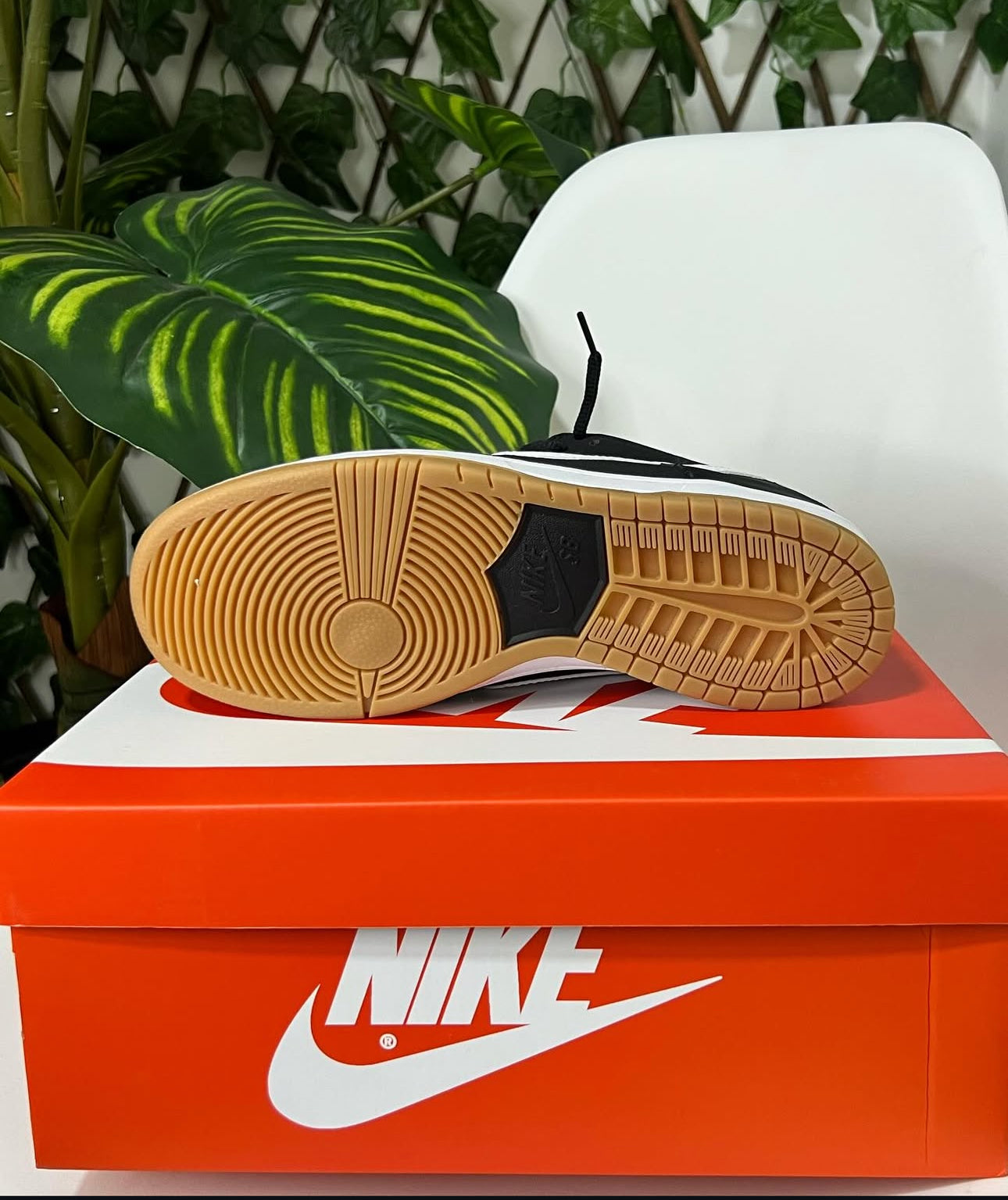 Nike SB Dunk Low Pro “Black Gum”