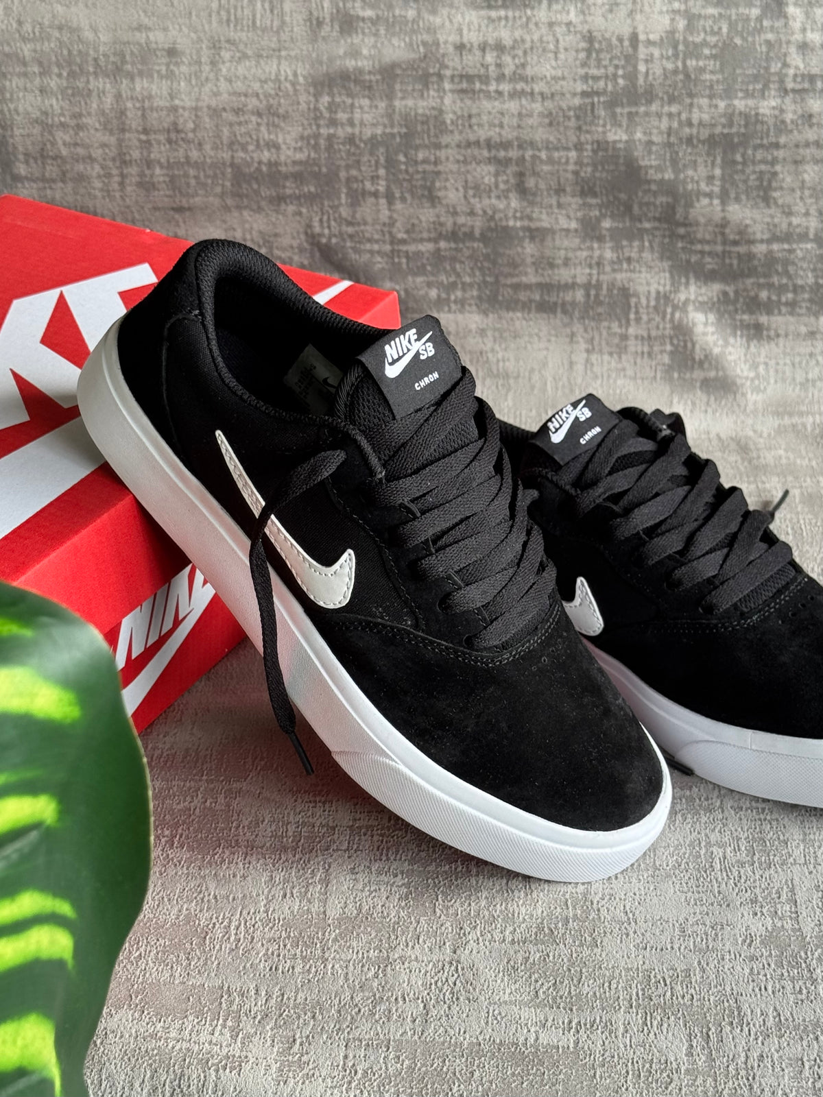 Nike SB “Charge Canvas”