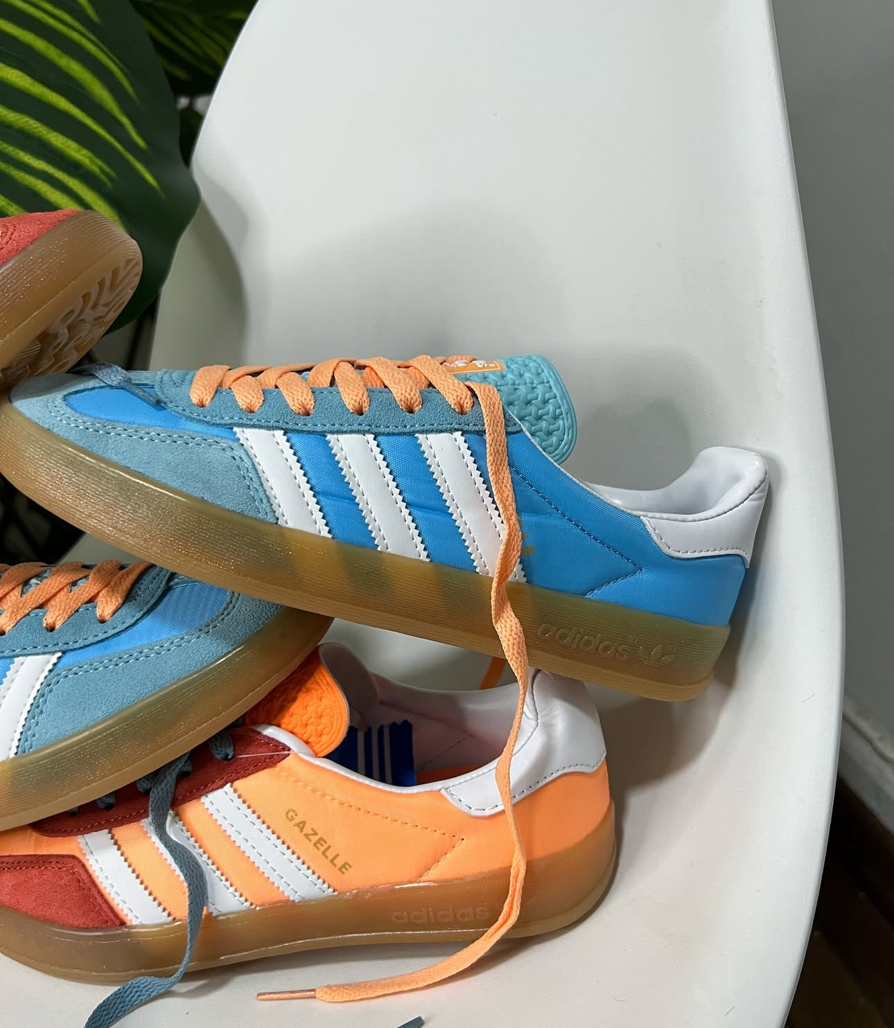 Adidas Gazelle Indoor “Prevolet”