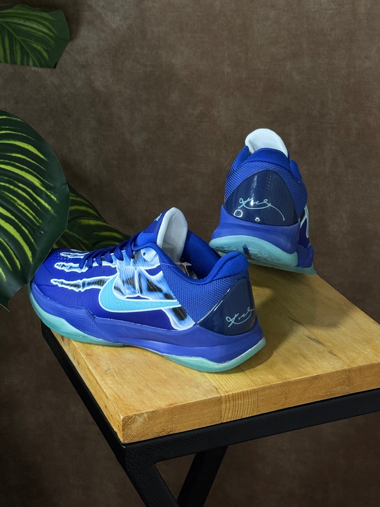 Nike Kobe 5 Protro x Ray