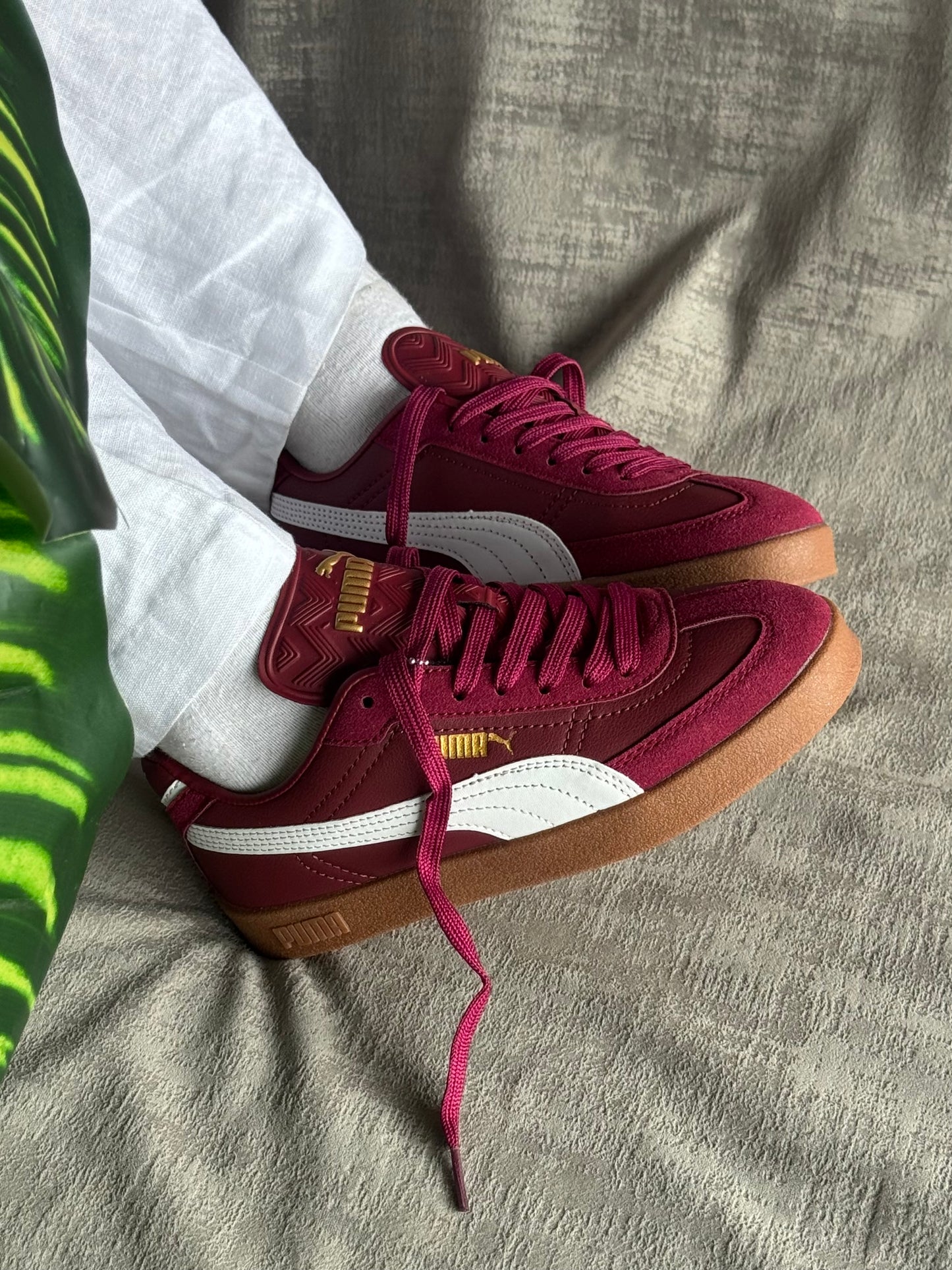 Puma Club “Vinotinto”