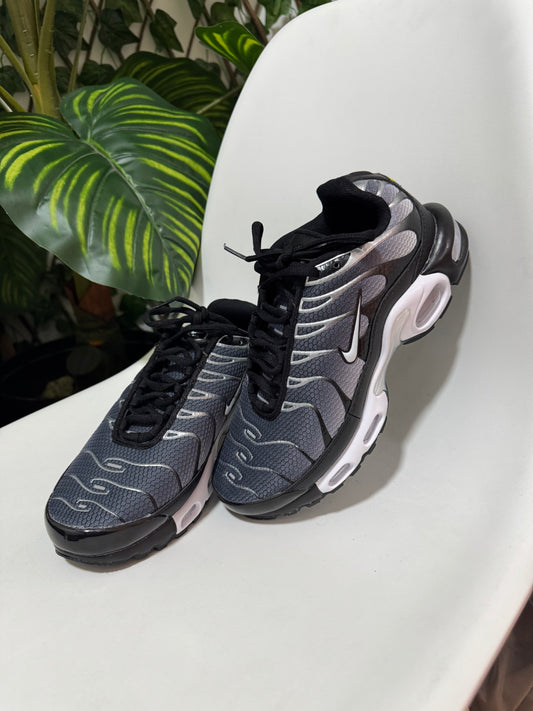 Nike Air Max TN Plus Grey