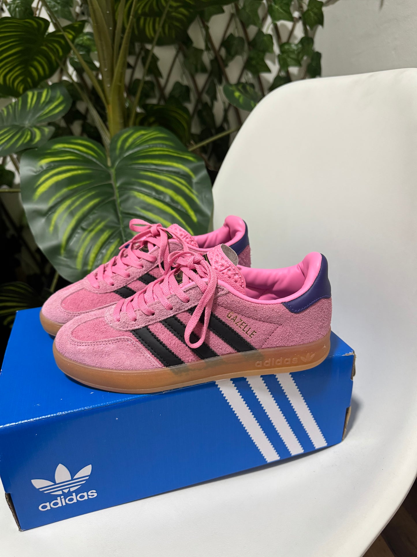 Adidas Gazelle Indoor