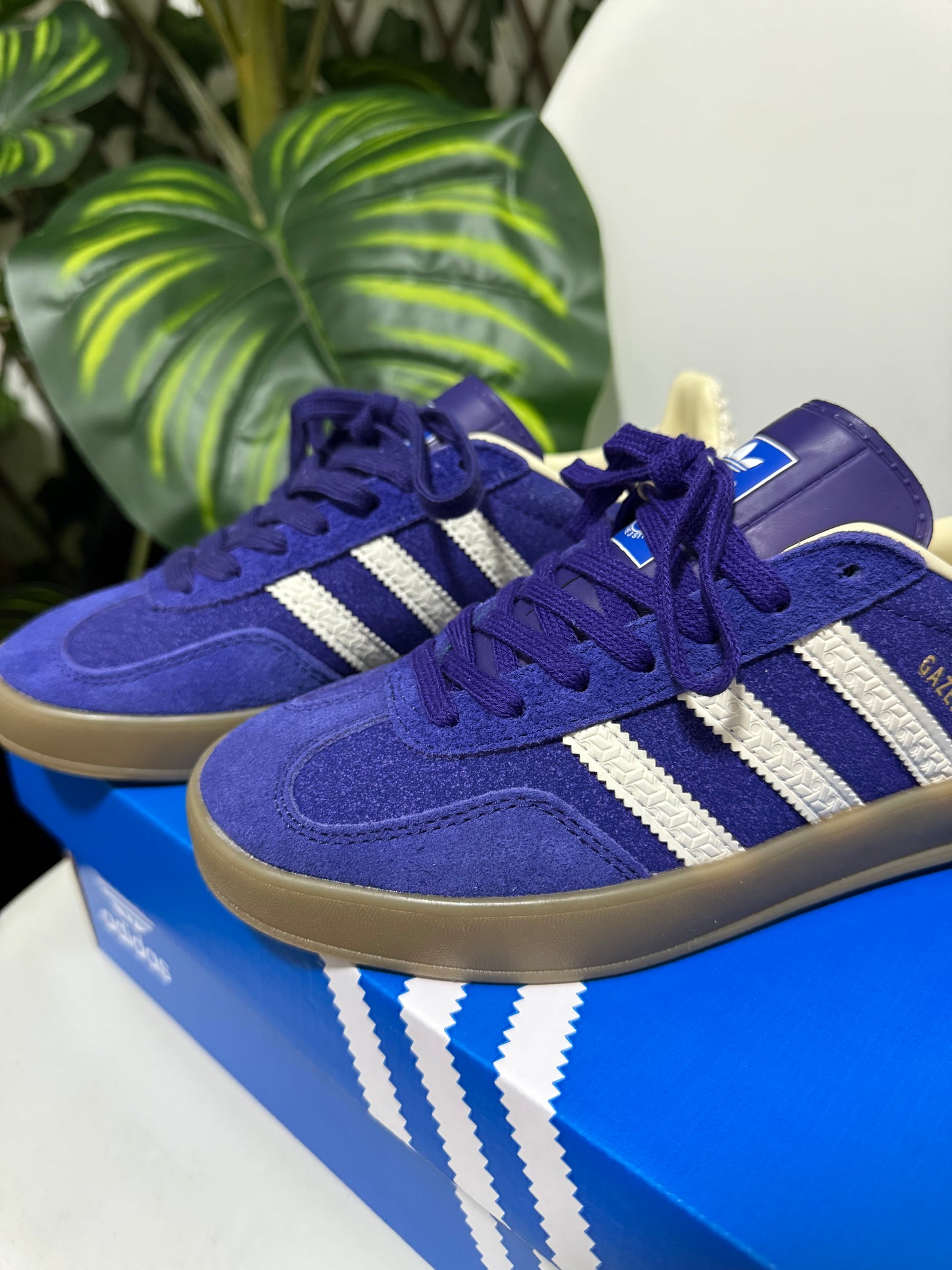 Adidas Gazelle Indoor Morada