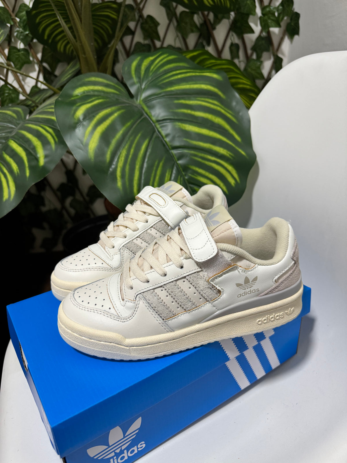 Adidas Forum Low 84