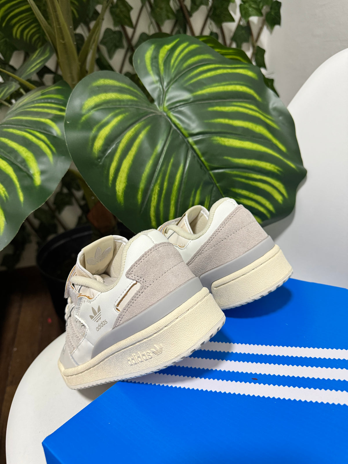 Adidas Forum Low 84