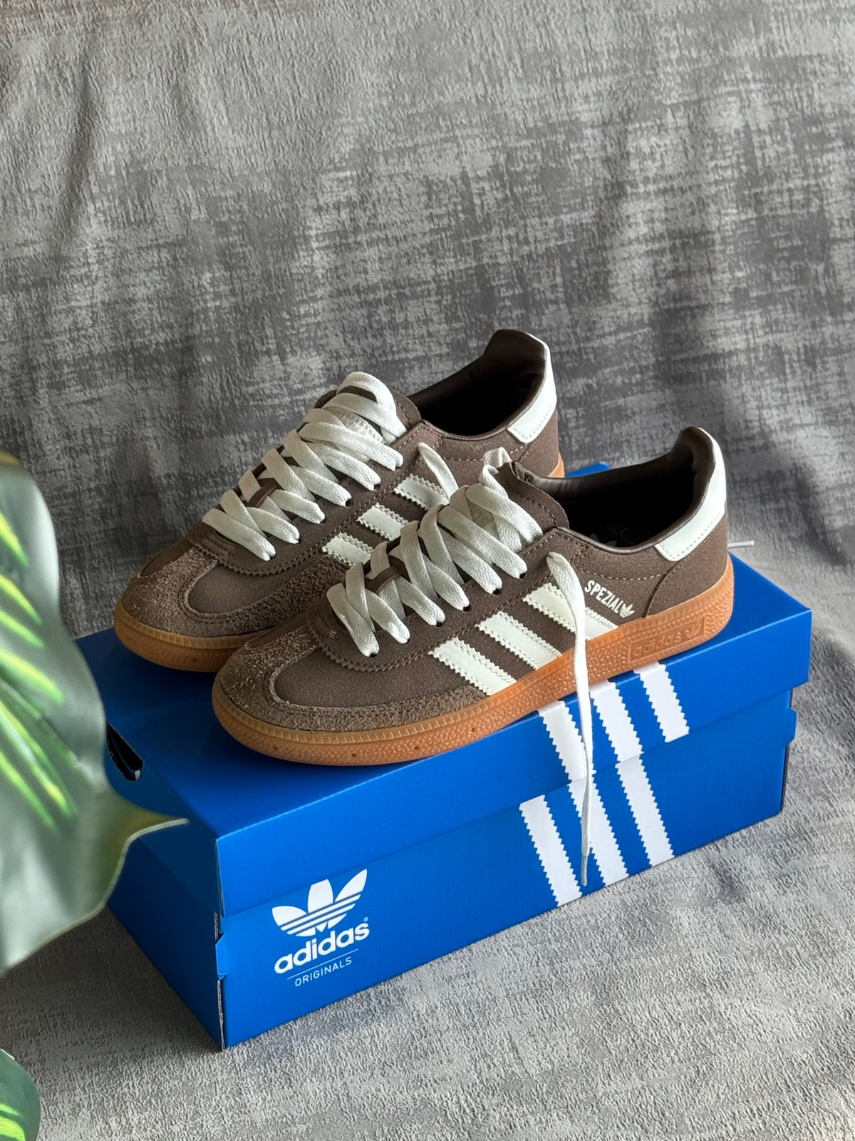 Adidas Handball Spezial “Café”