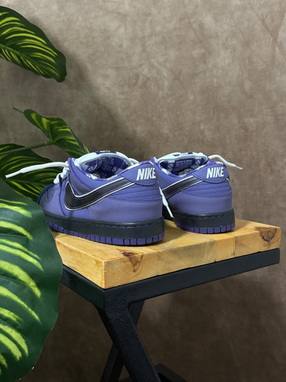 Nike Dunk Low SB “Purple Lobster”