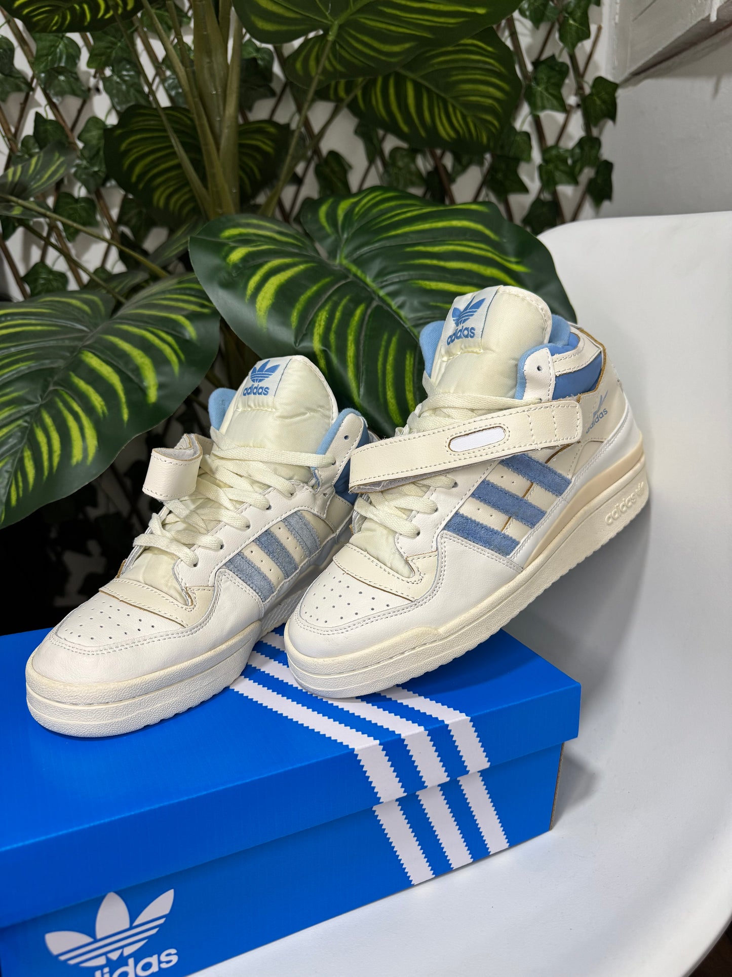 Adidas Forum 84 High