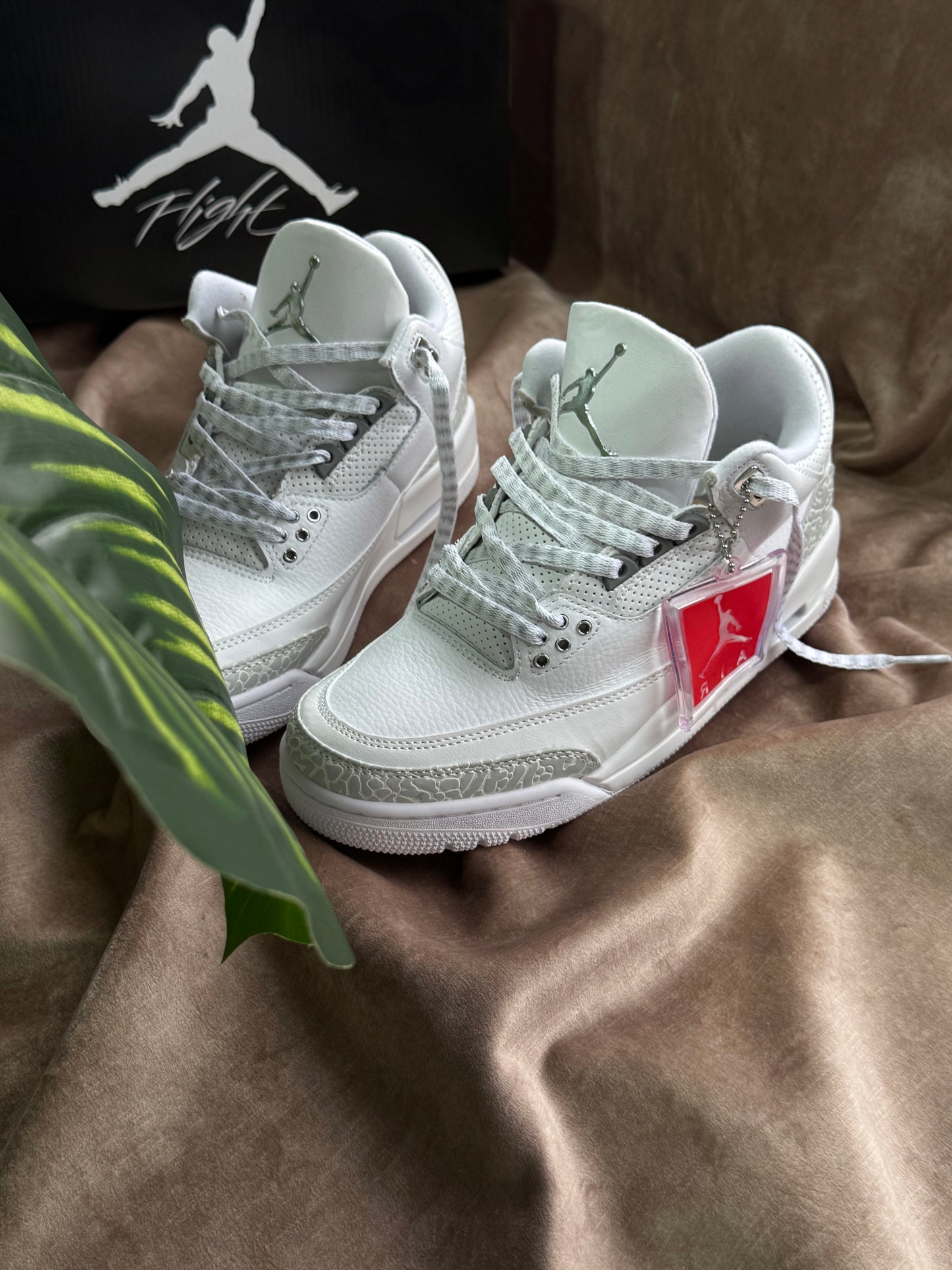Air Jordan Retro 3 “Pure Money”