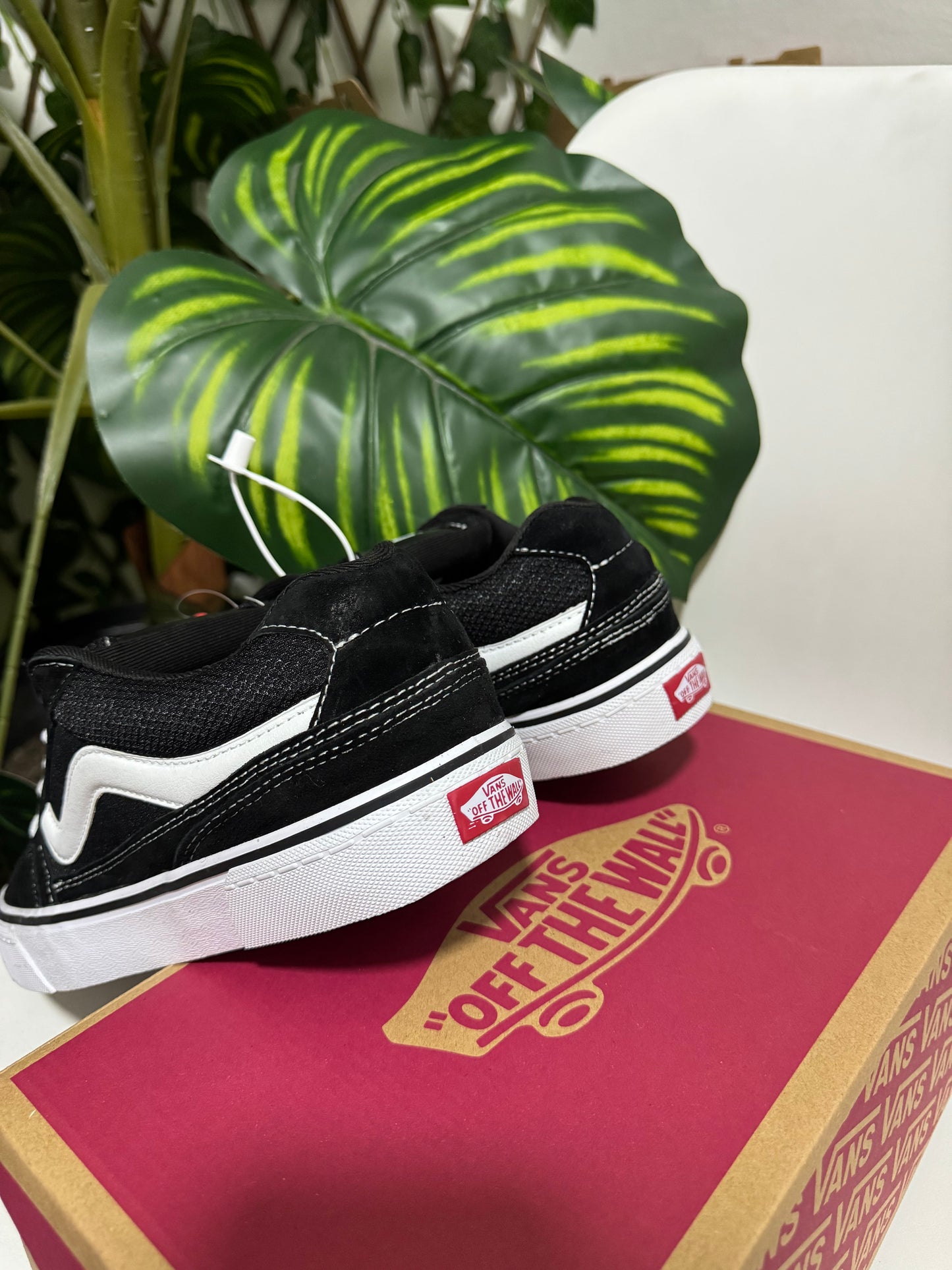 Vans Caldrone Classic Black