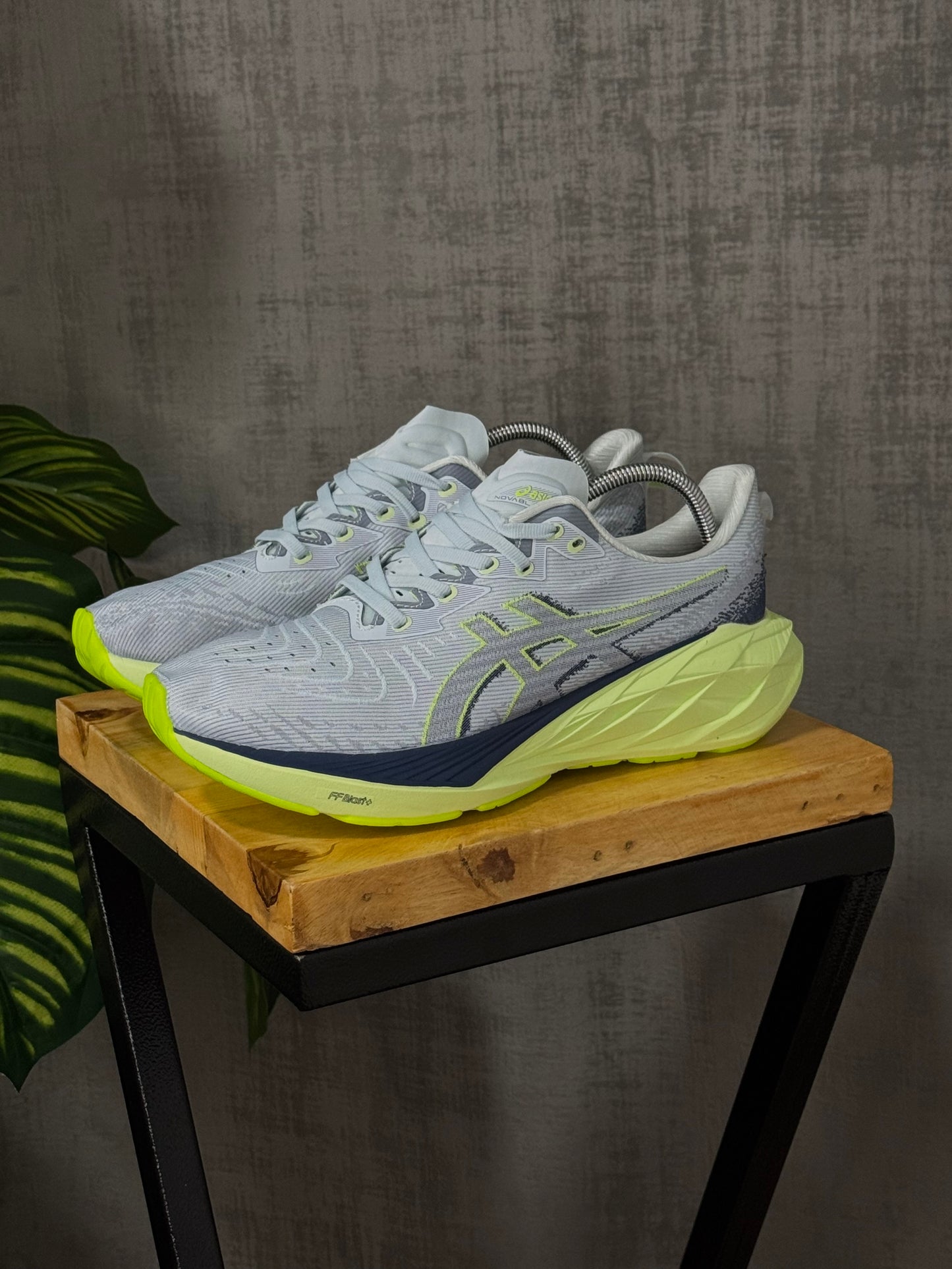 Asics Novablast 4 Gris