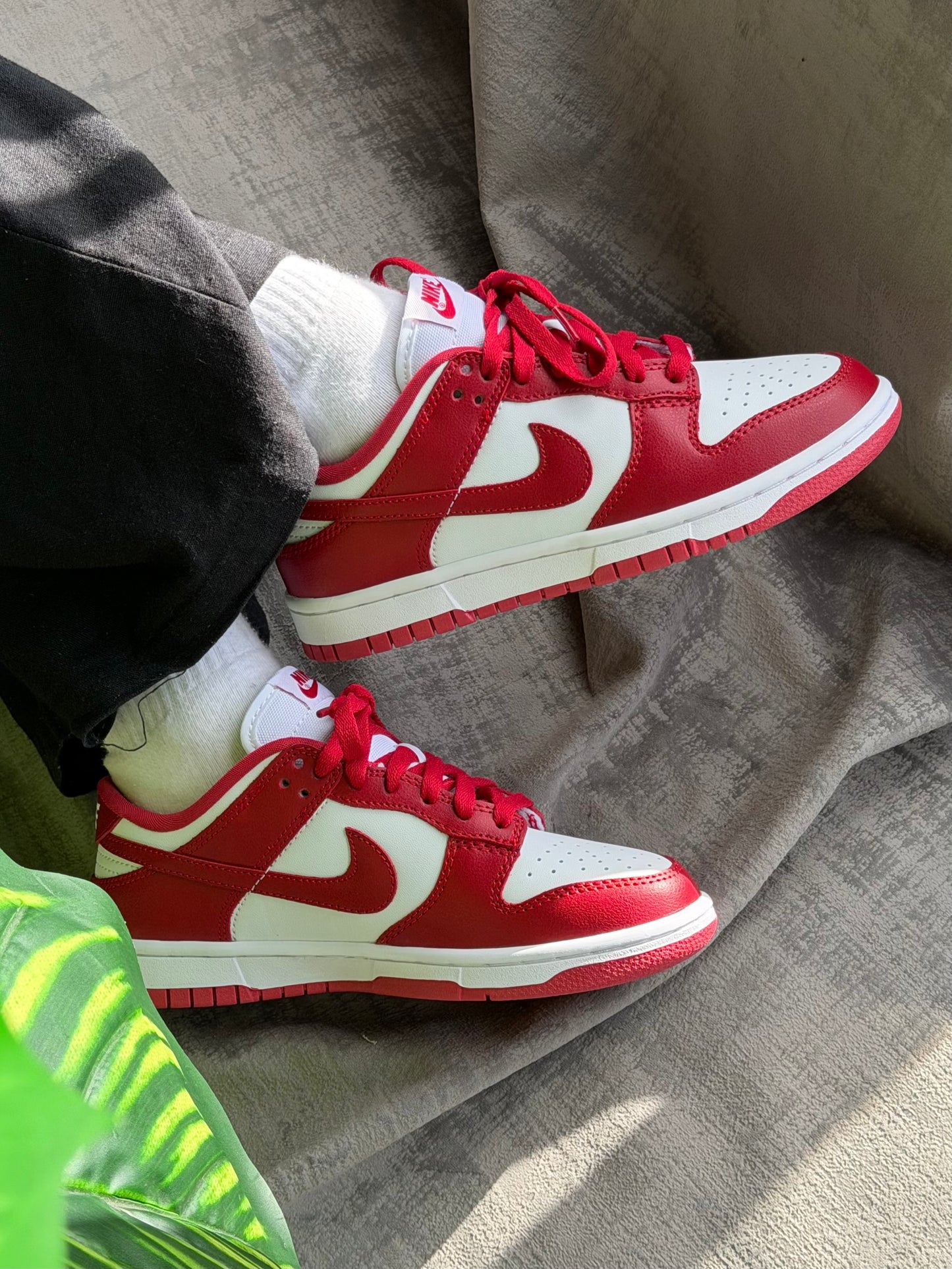 Nike SB Dunk Low “Red”
