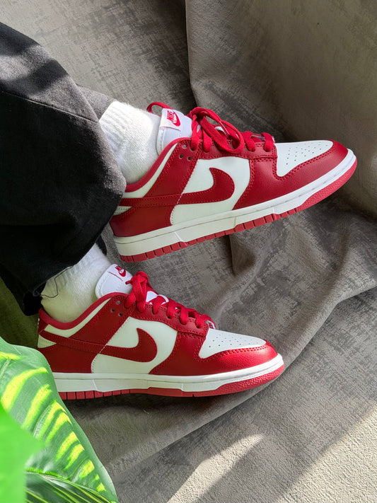 Nike SB Dunk Low “Red”