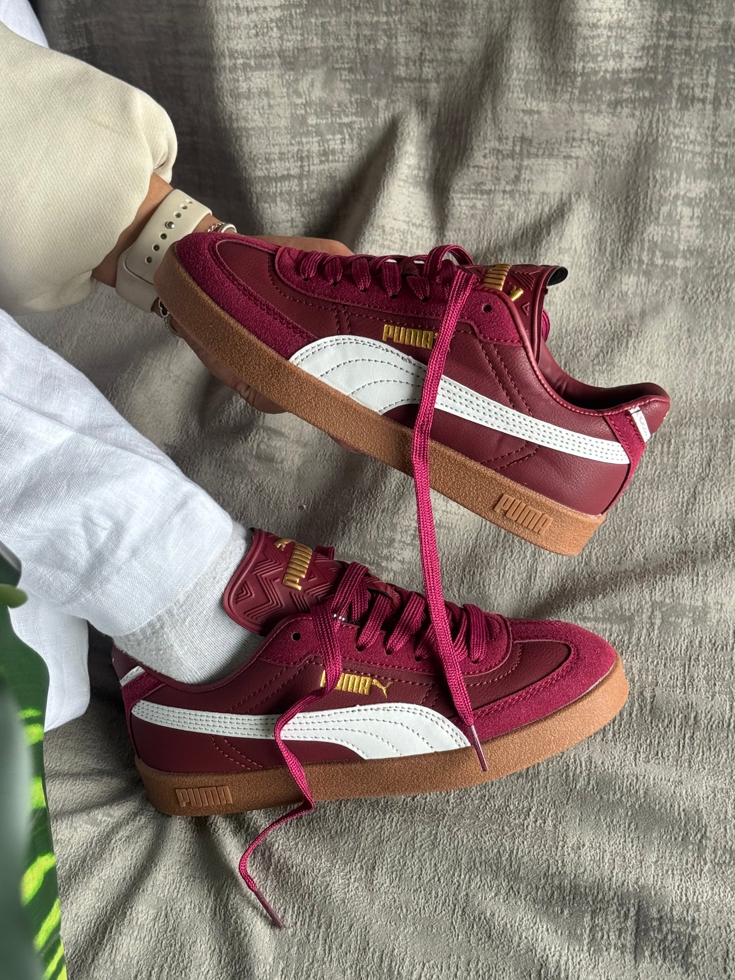 Puma Club “Vinotinto”
