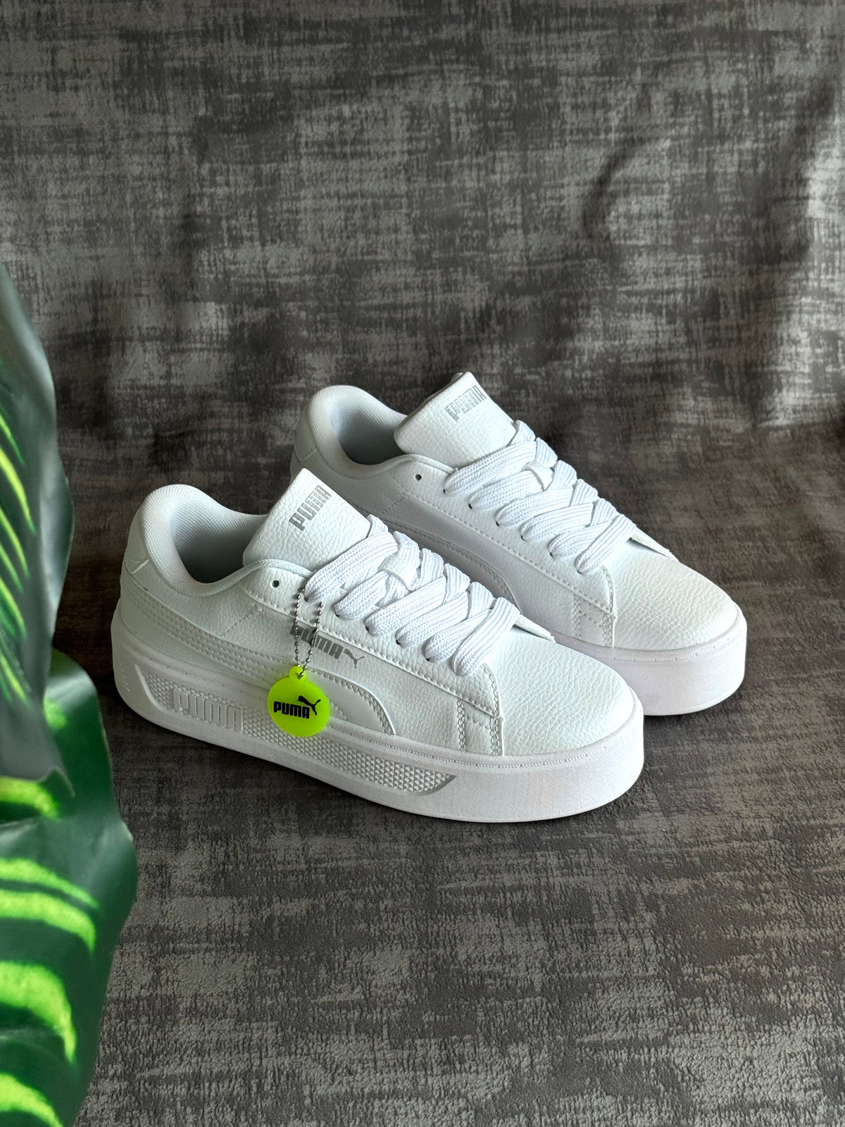 Puma Smash plataforma