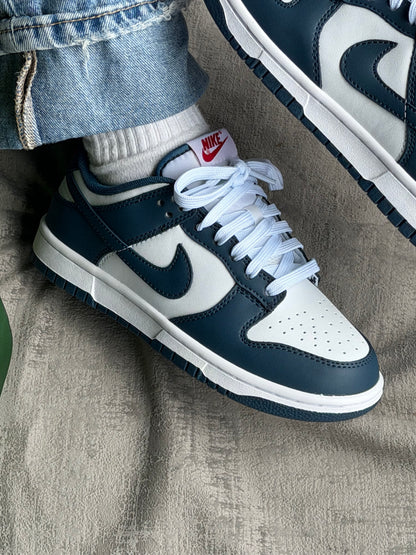 Nike SB Dunk Low “Velarian Blue”