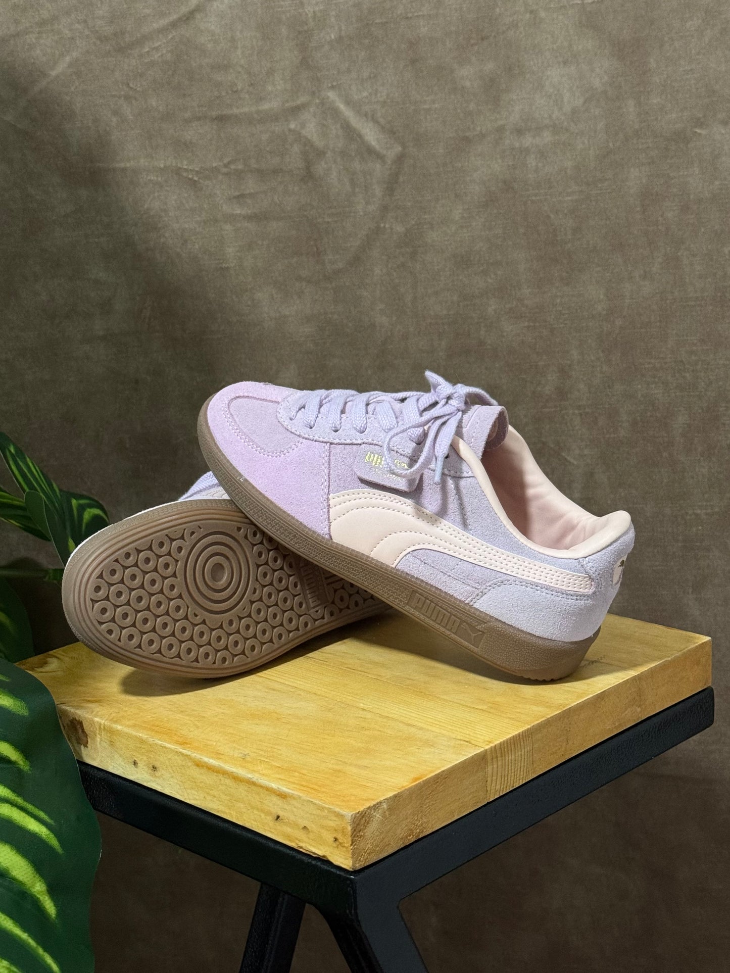 Puma Palermo “Rosa”