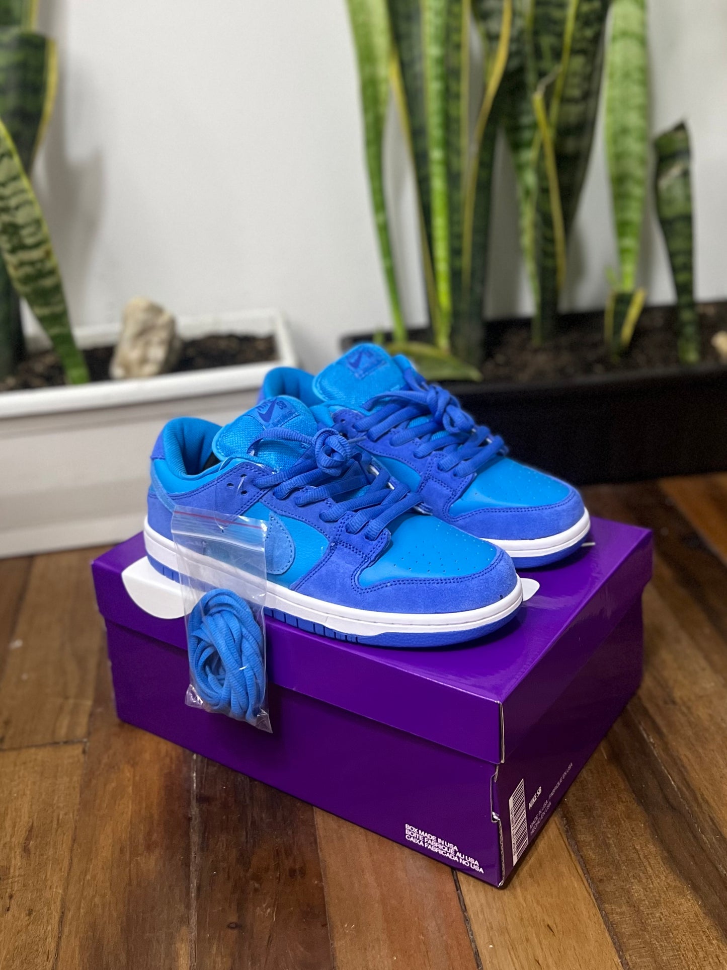 Nike SB Dunk Low “Blue Raspberry”