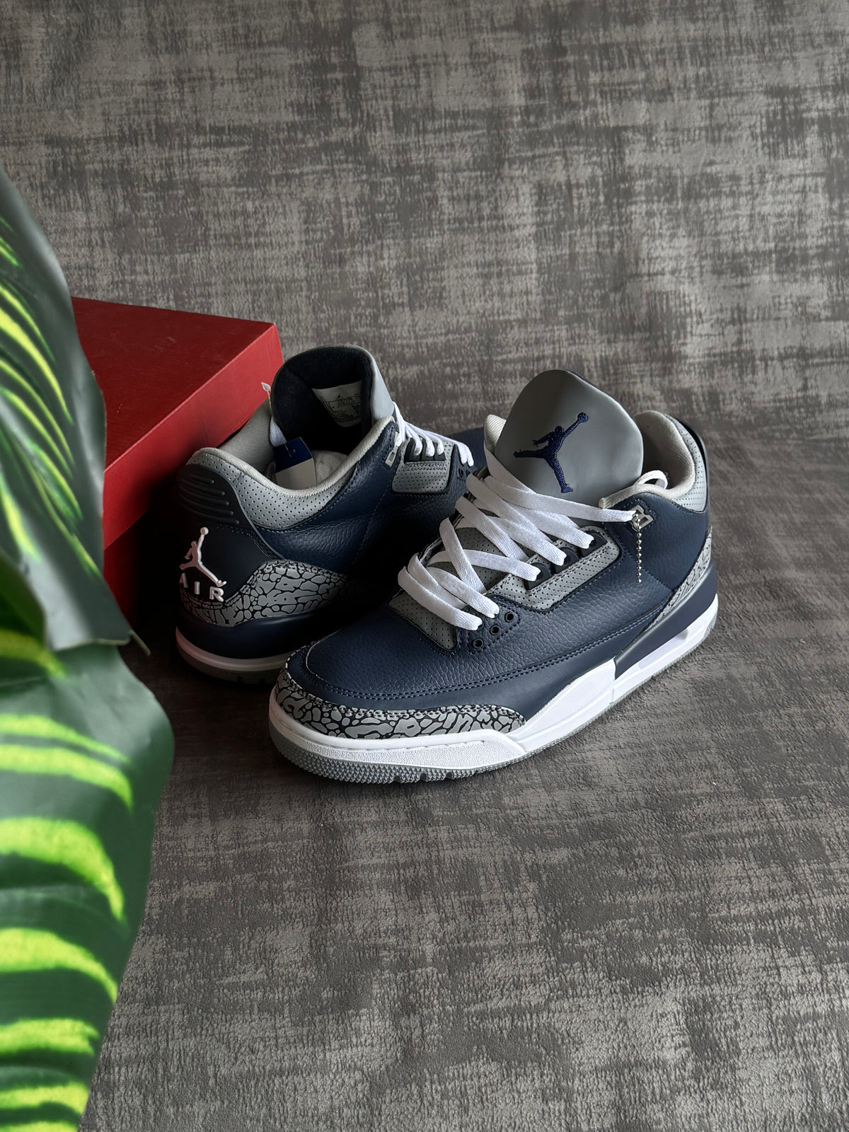 Air Jordan 3 “Georgetown”