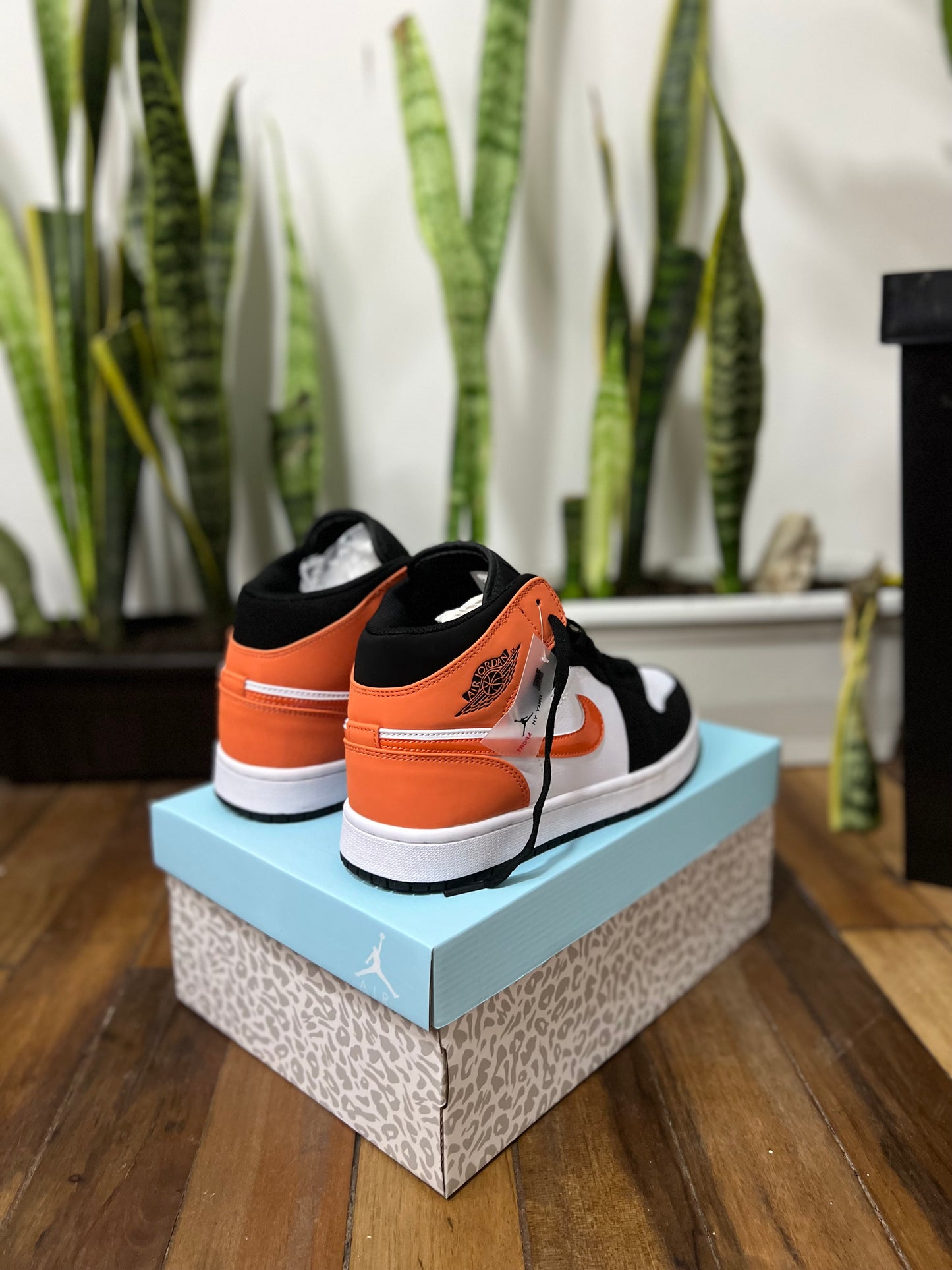 Air Jordan 1 Mid “Shattered Backboard”