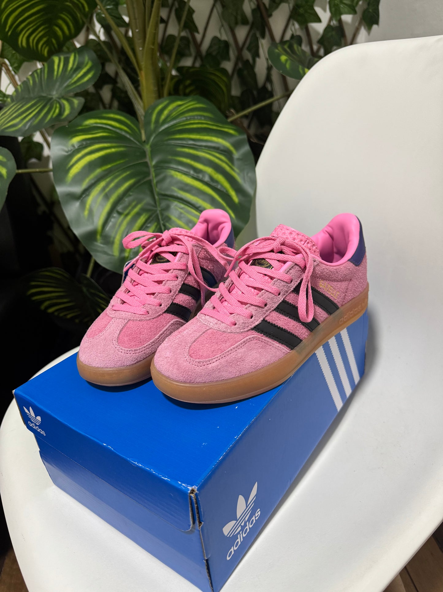 Adidas Gazelle Indoor