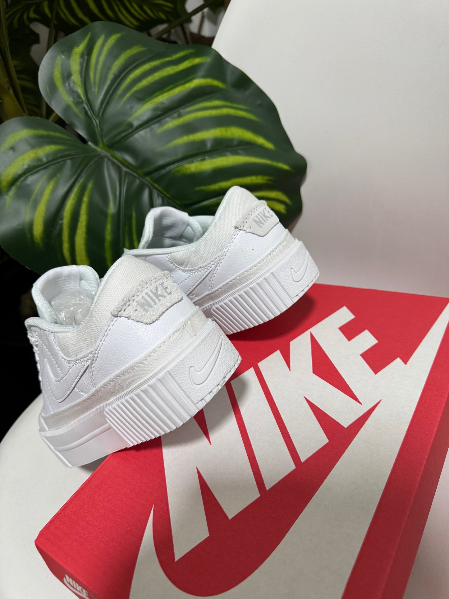 Nike Court Legacy White