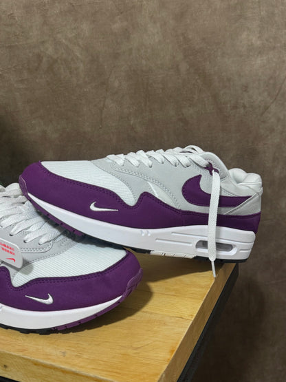 Nike Air Max 1