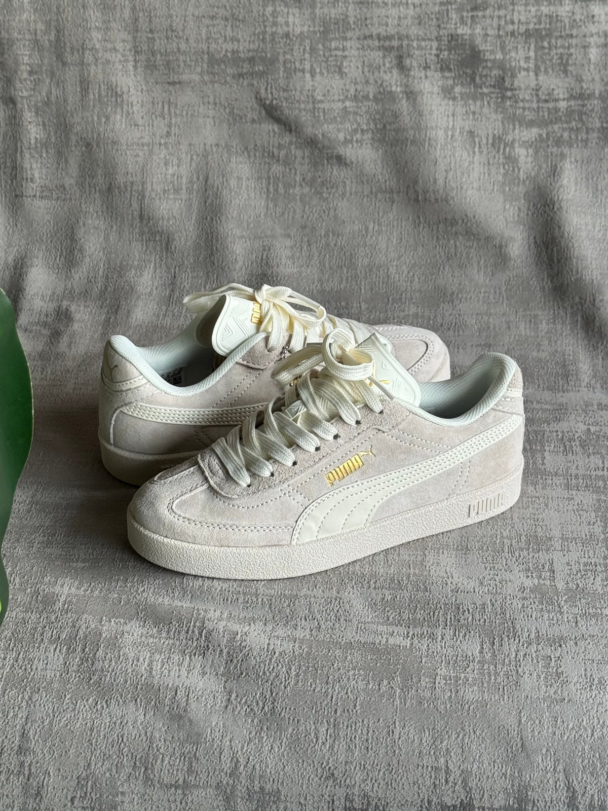 Puma Club “Beige”
